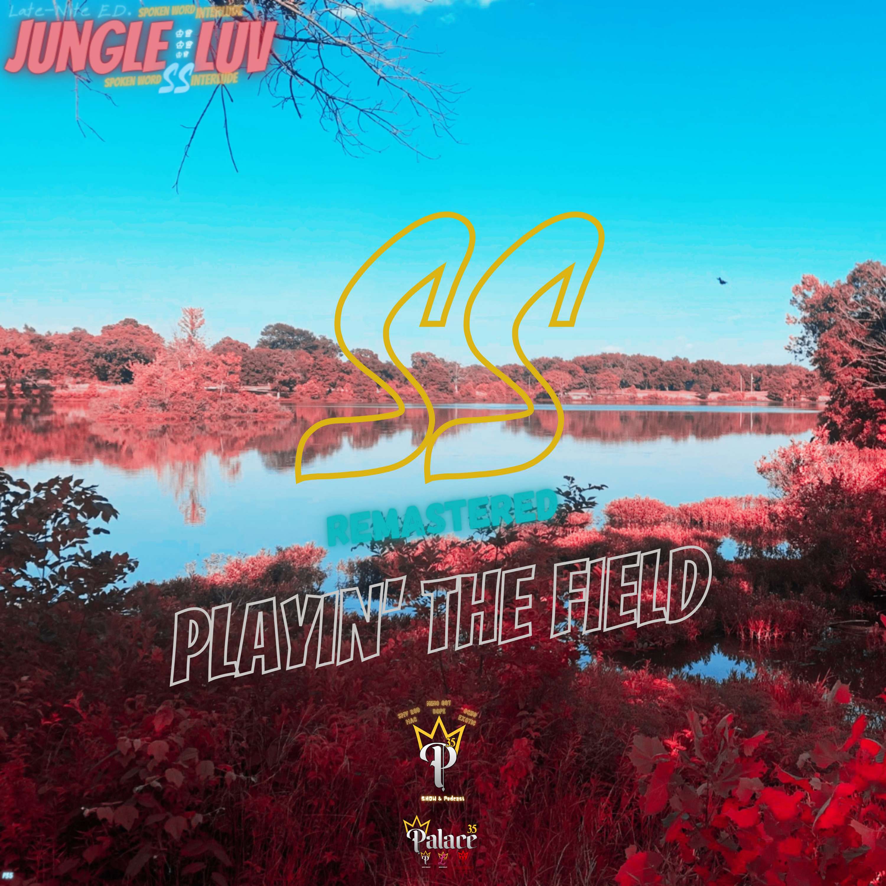 Playin' The Field episode artwork
