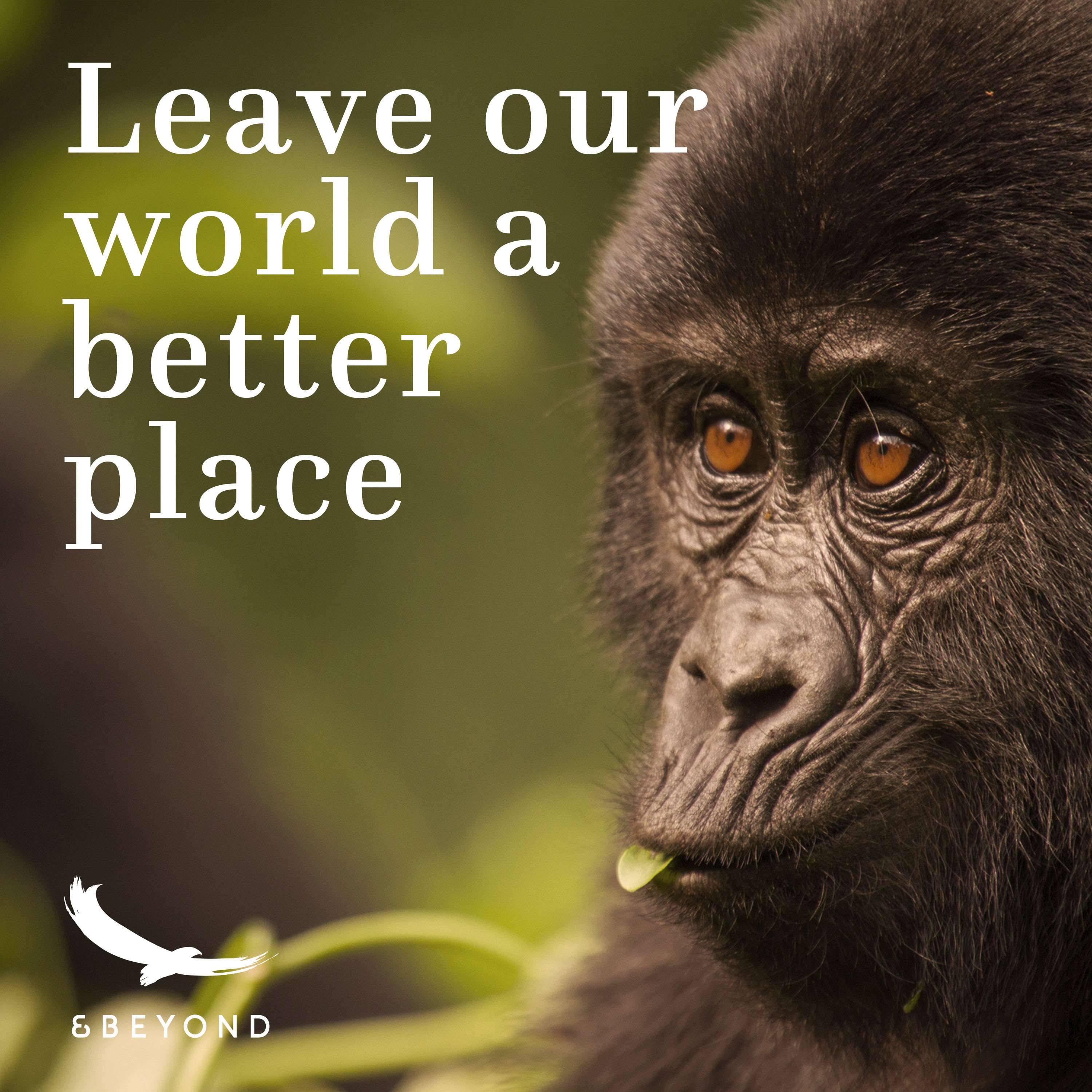Better World