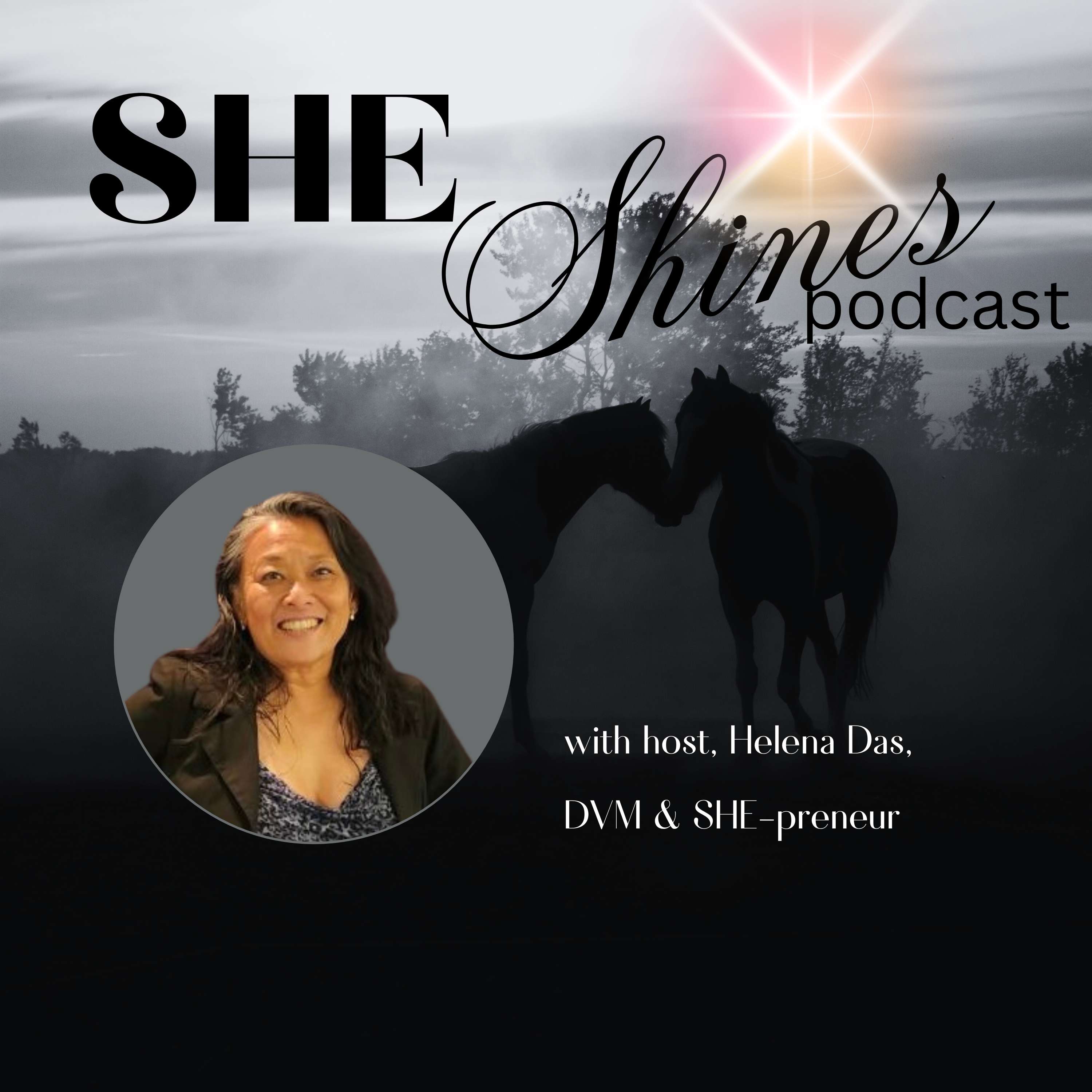 SHE Shines:  Helping \'Dark Horse-preneurs\' Unlock their Light & Get Paid to Shine