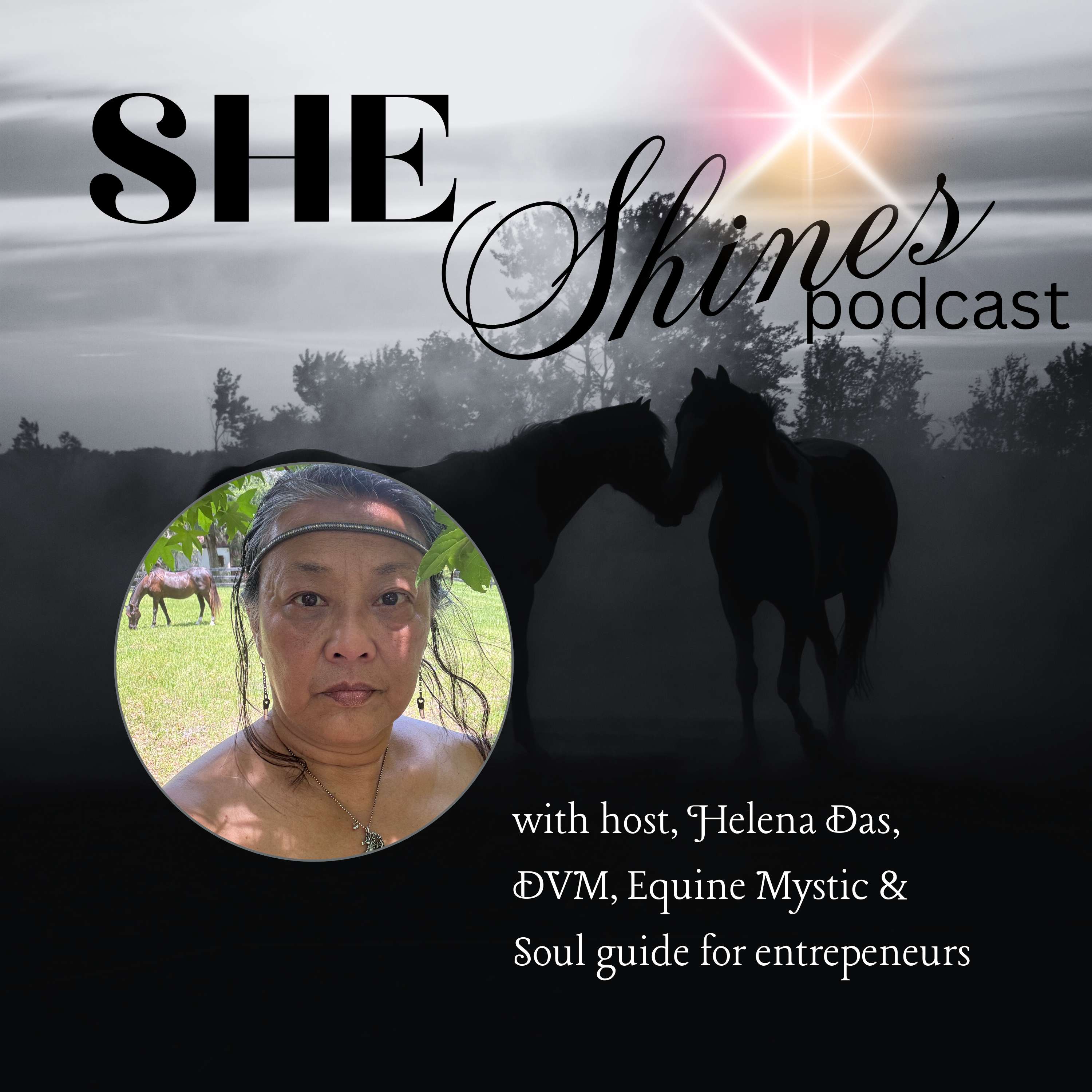 SHE Shines:  Helping \'Dark Horse-preneurs\' Unlock their Light & Get Paid to Shine