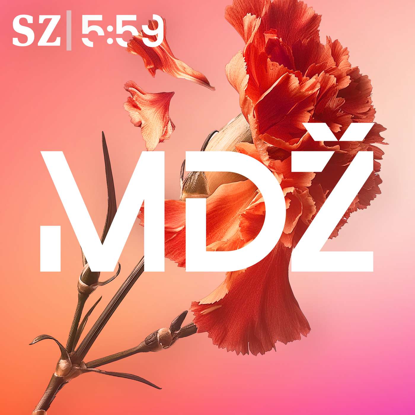 MDŽ: Muž jako lovec, co se neovládá? Q&A o obtěžování