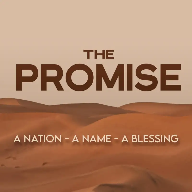 The Promise (A Nation, A Name, A Blessing series #2) 07.11.21