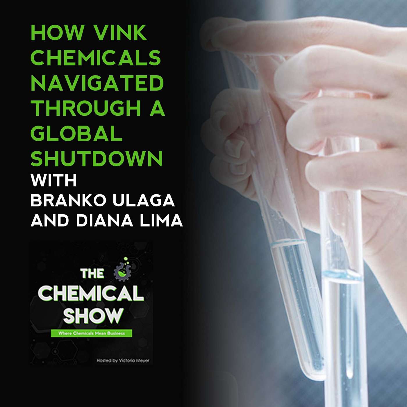 67. How Vink Chemicals Navigated Through A Global Shutdown With Branko Ulaga And Diana Lima