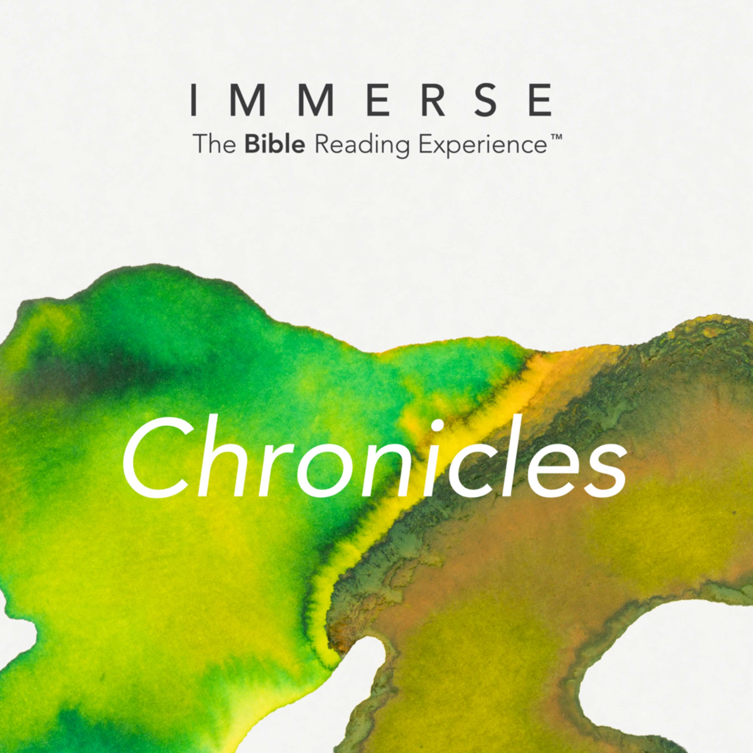 Immerse Chronicles Day 346 Year 1 Bible Reading