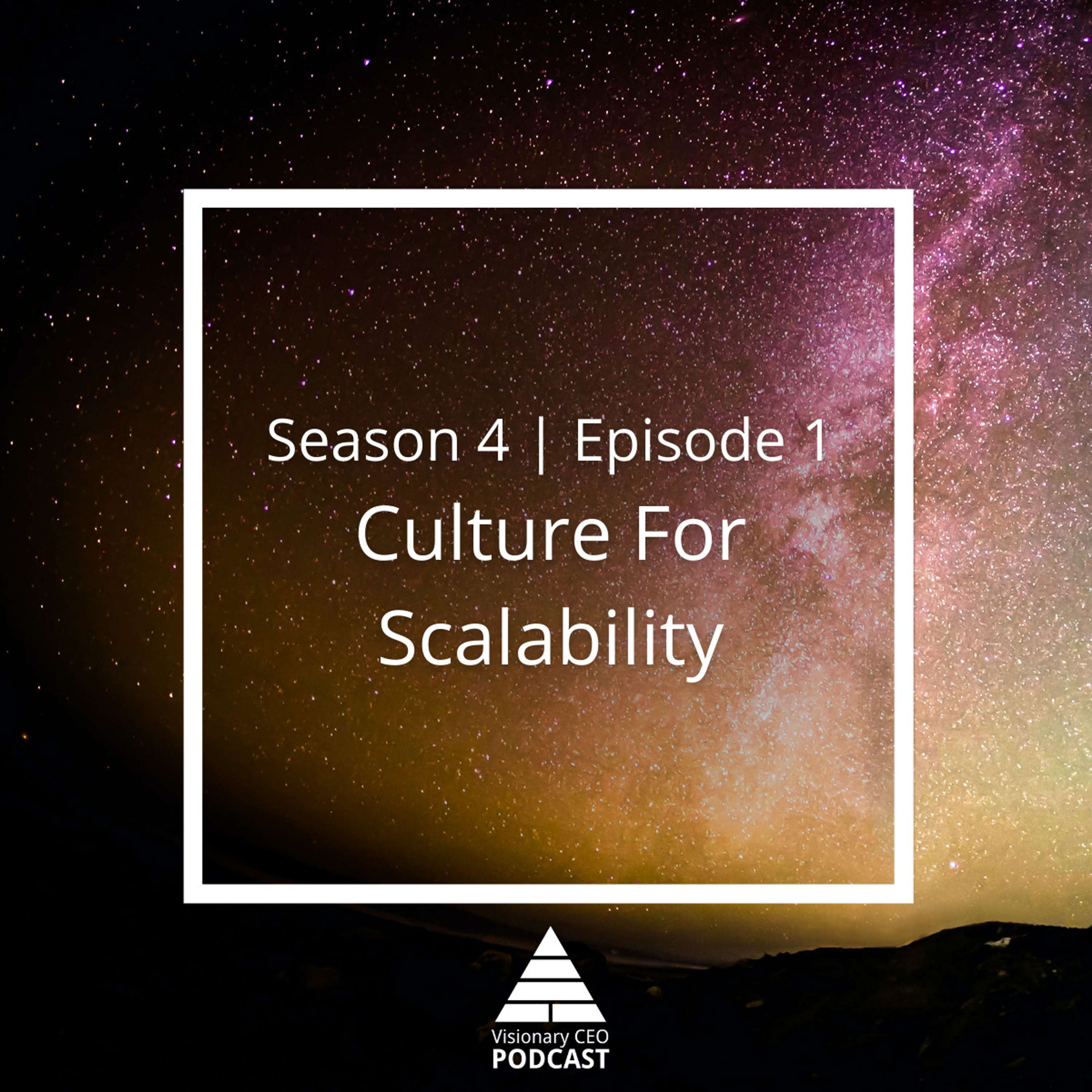 Visionary CEO Podcast