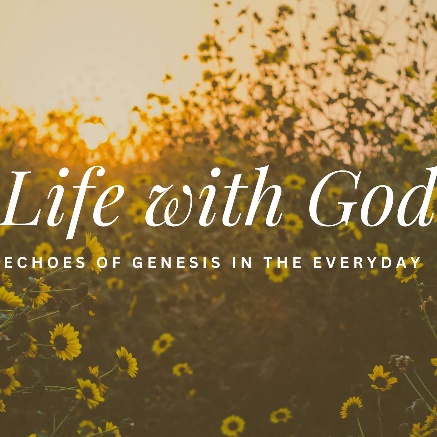 Dysfunction & Devotion: Leah & Rachel: Genesis 29-31 (Ben Connelly)