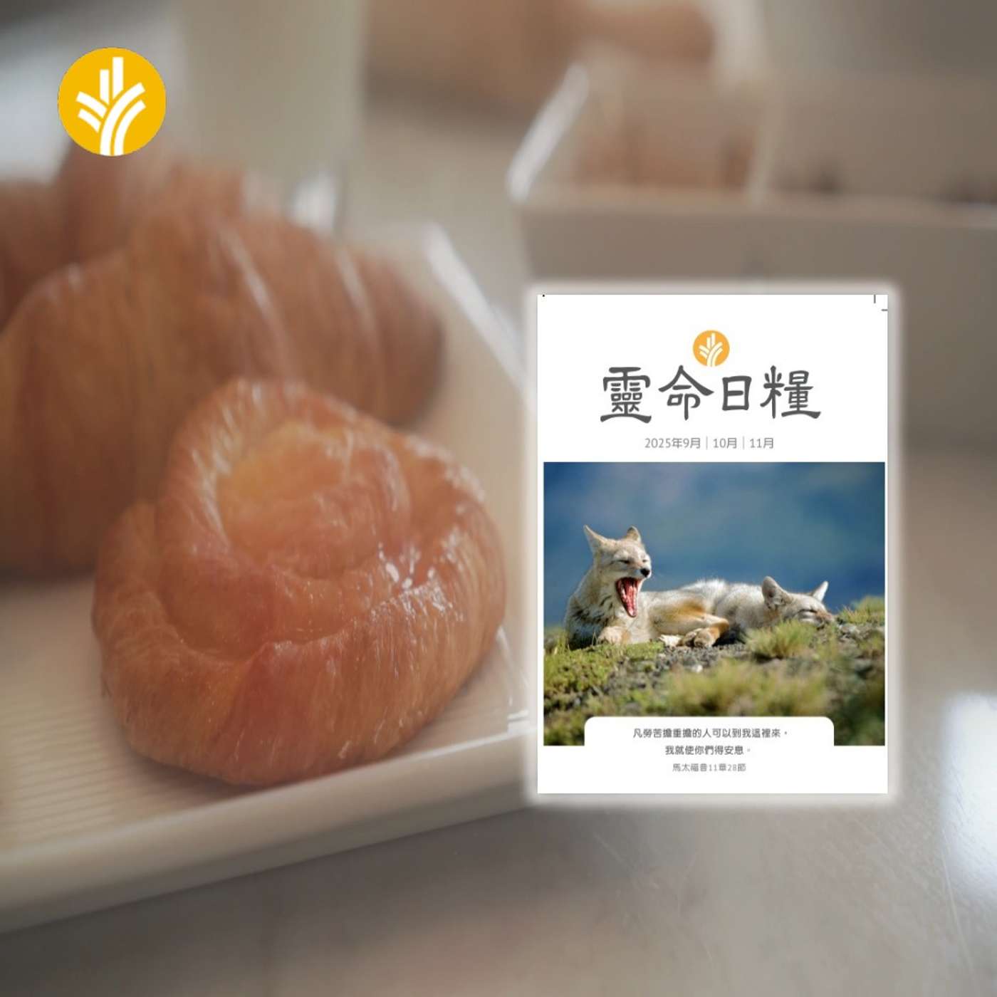 11月30日 過好每一天 11月30日 過好每一天