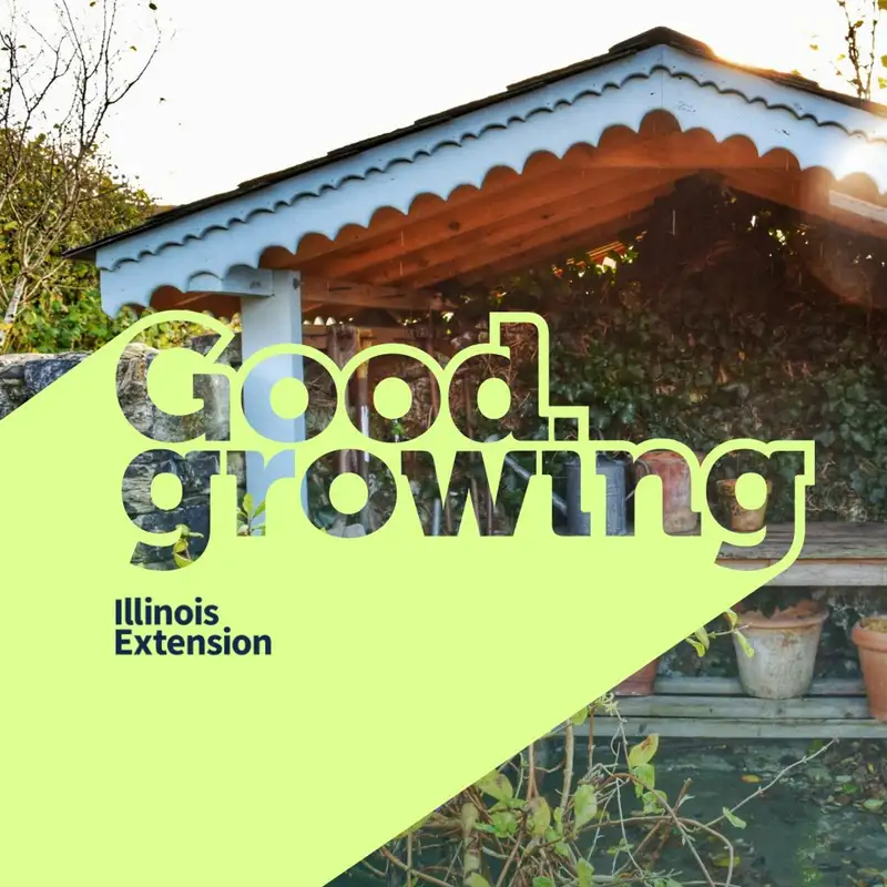 Ep. 127 A year in review of our 2022 vegetable gardens | #GoodGrowing