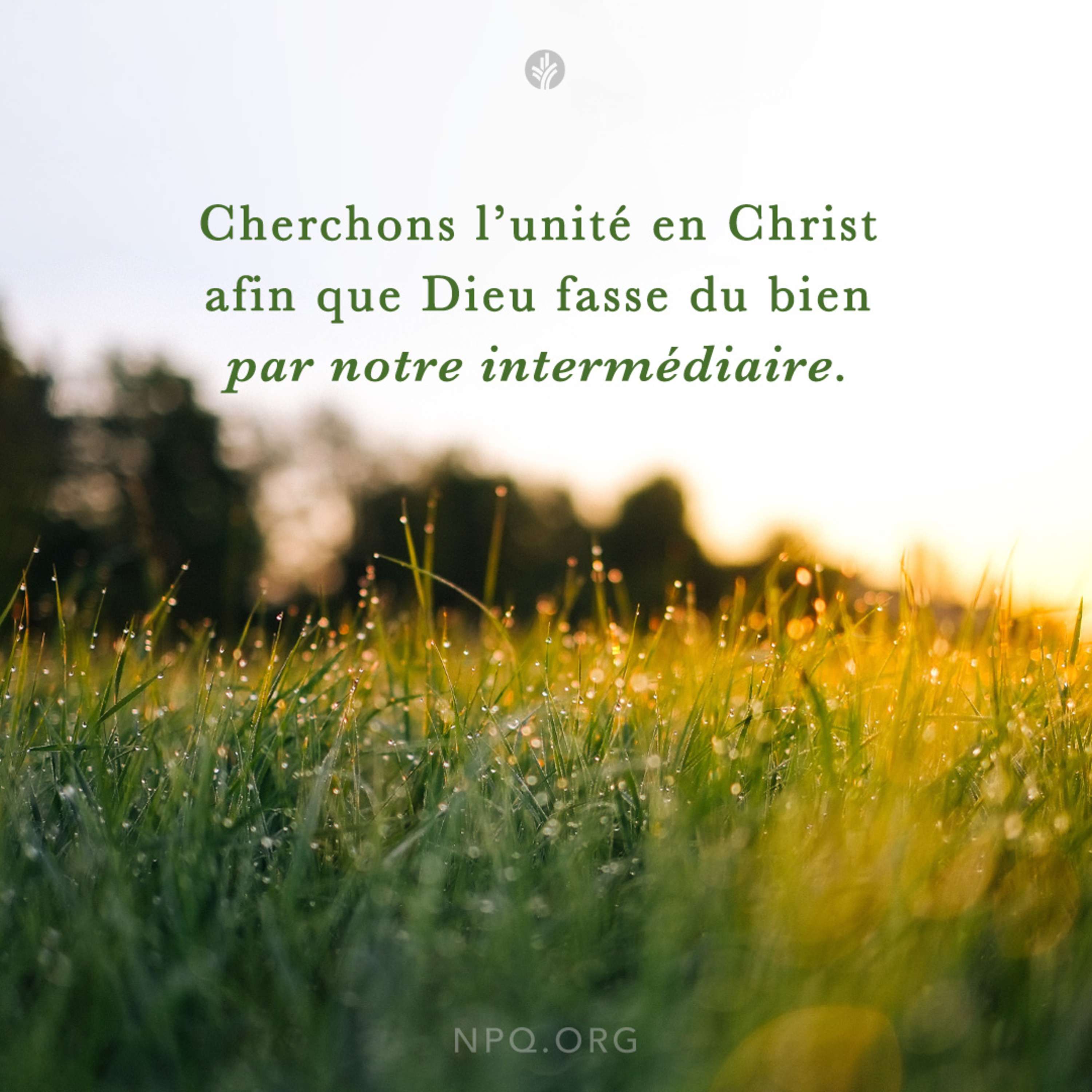 Notre Pain Quotidien podcast