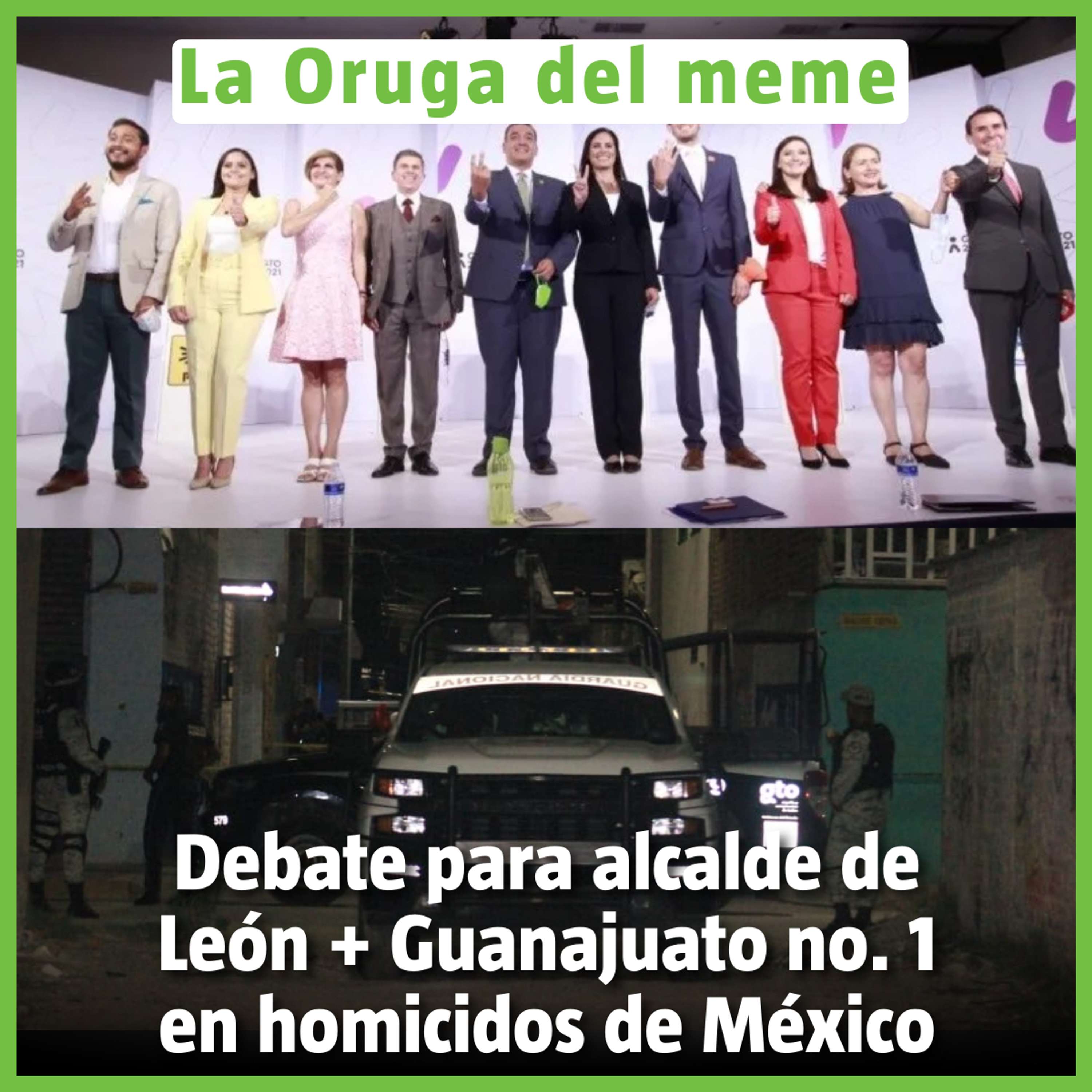 La Oruga del Meme