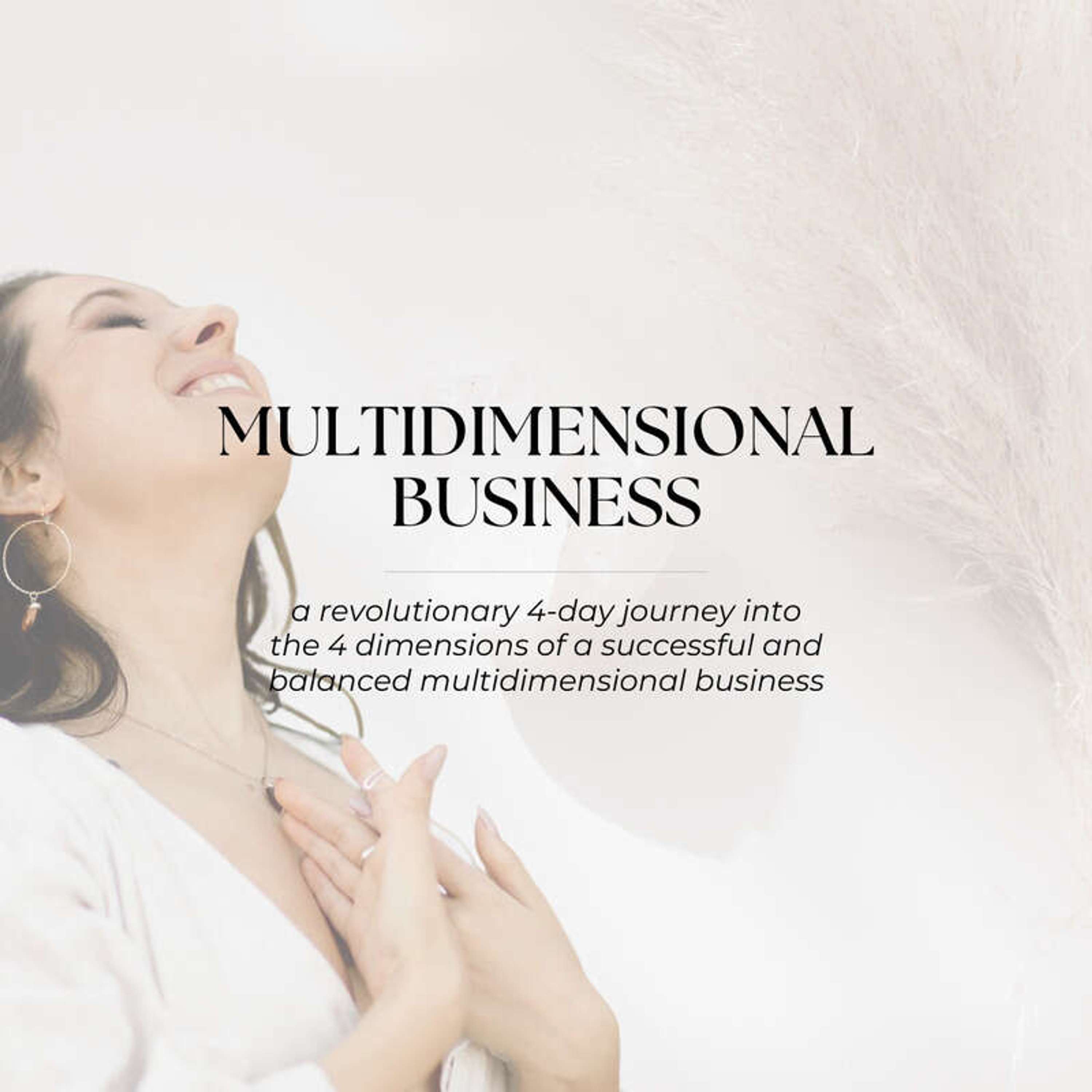 Multidimensional Business™ (November 2024)