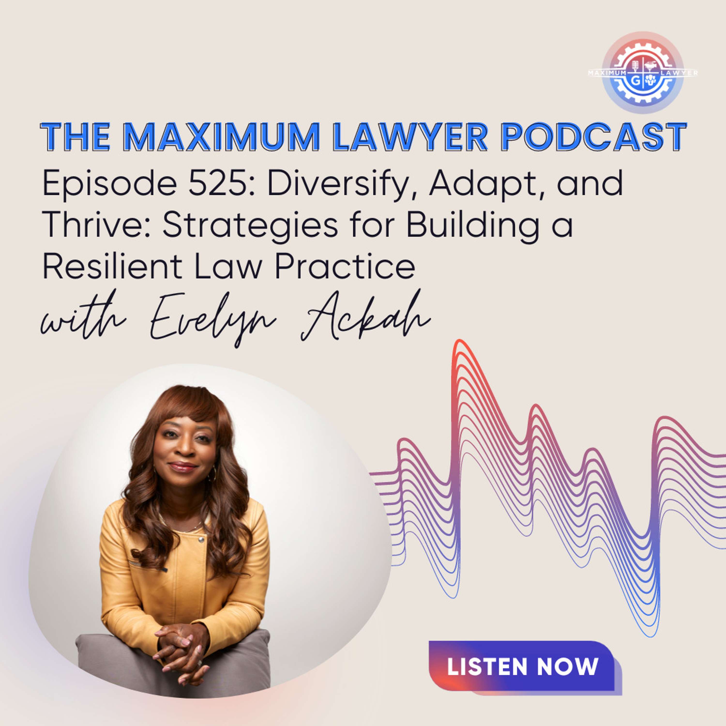 Diversify, Adapt, and Thrive: Strategies for Building a Resilient Law Practice with Evelyn Ackah