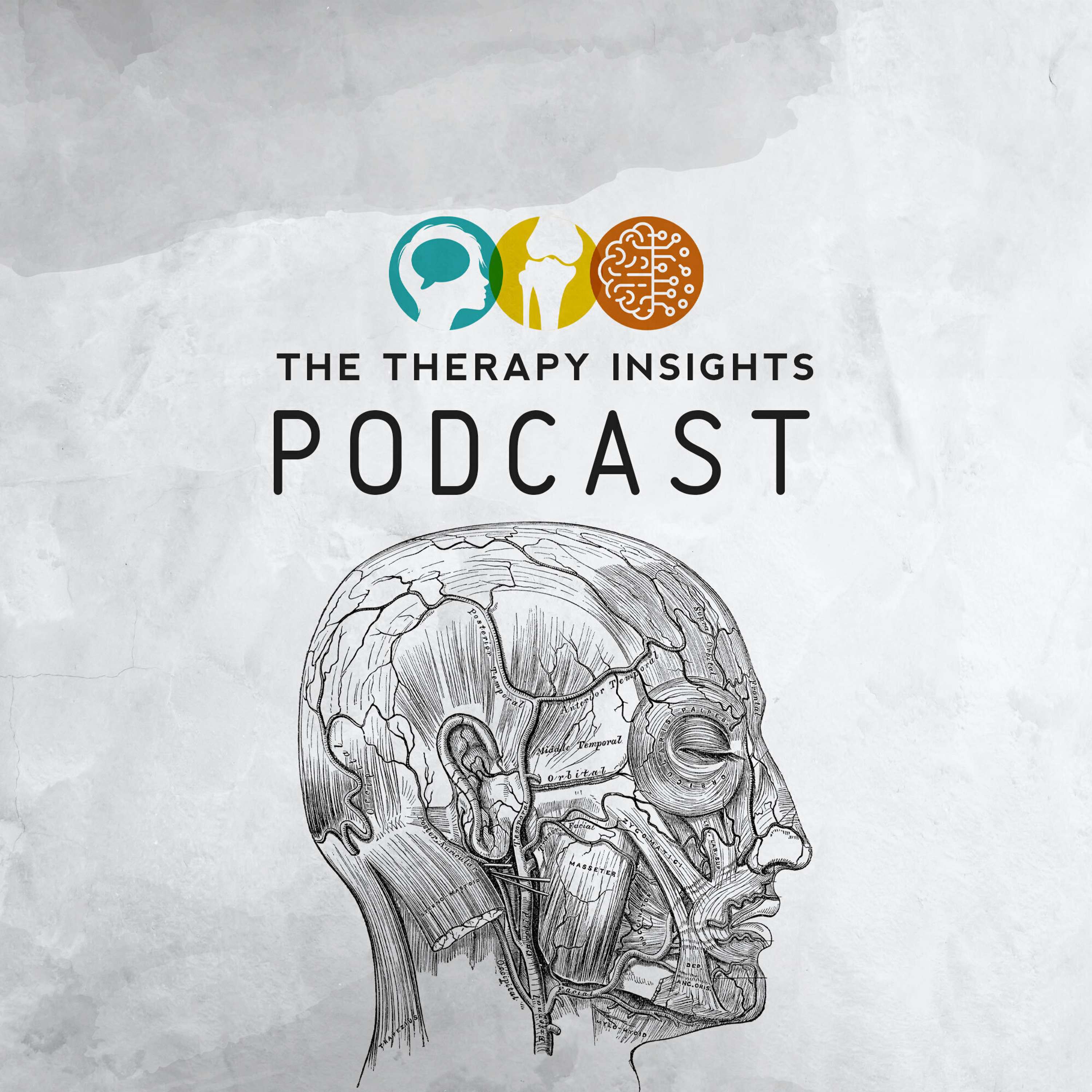 The Therapy Insights Podcast