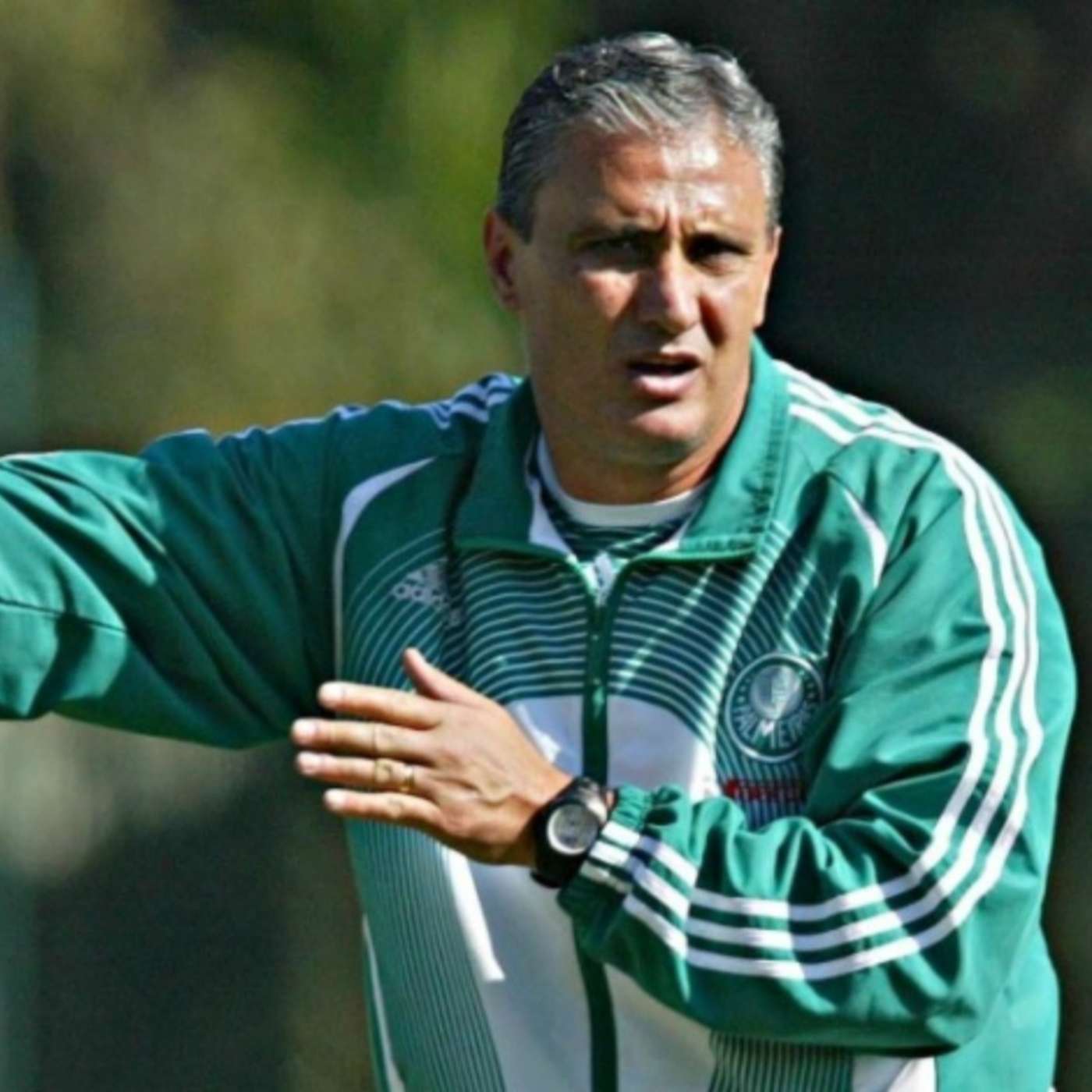 Parlando de Palmeiras