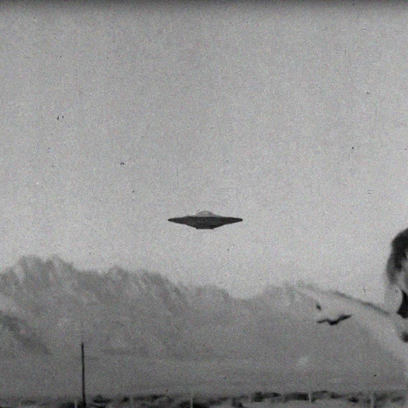 Aliens and You: Do 
