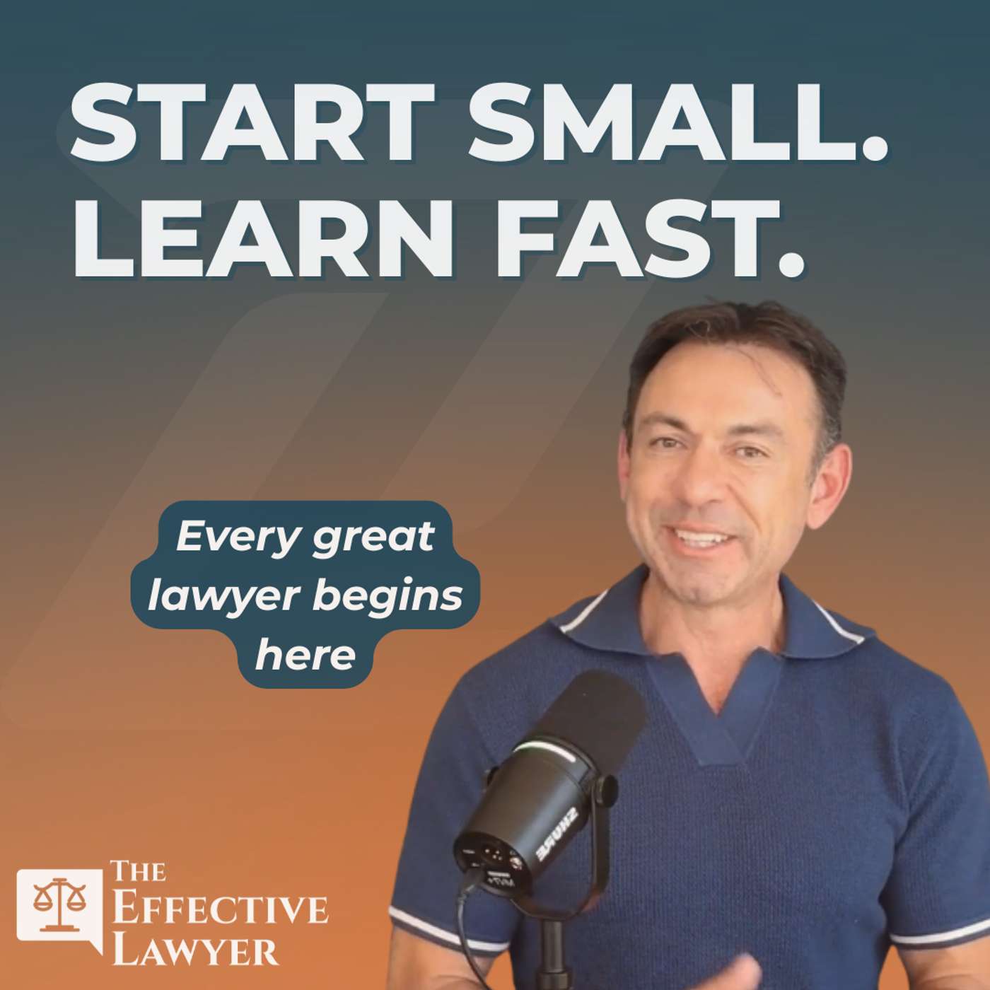 The Effective Lawyer