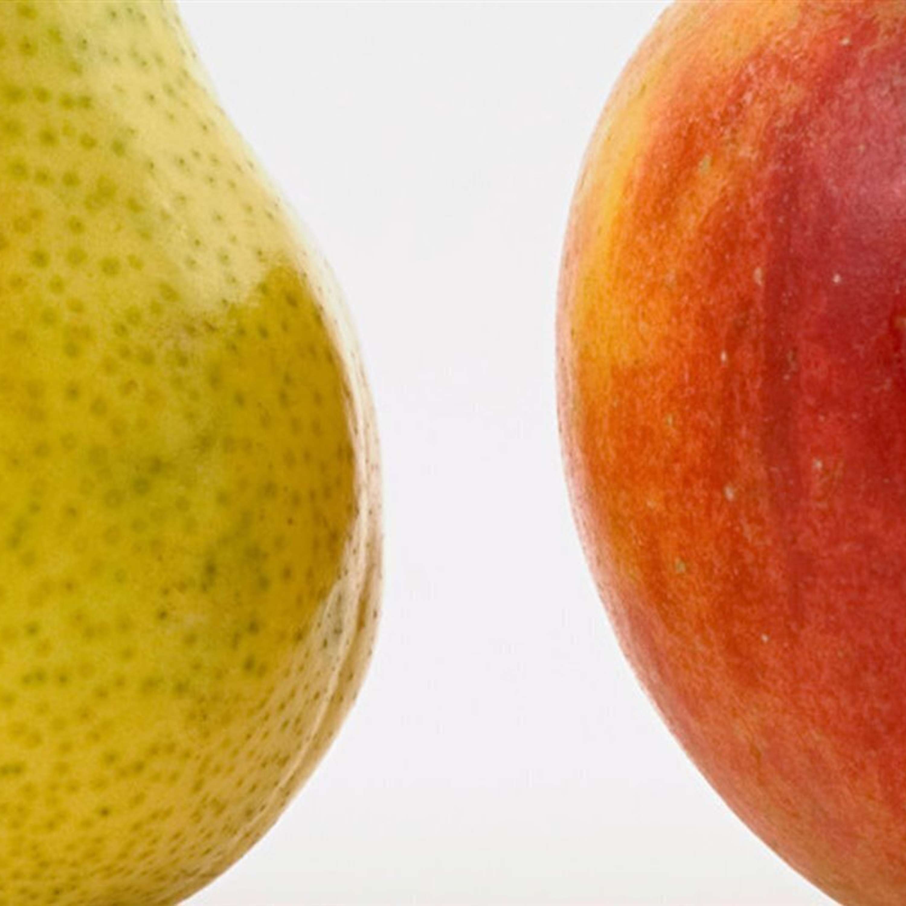 Los gobiernos de coalición