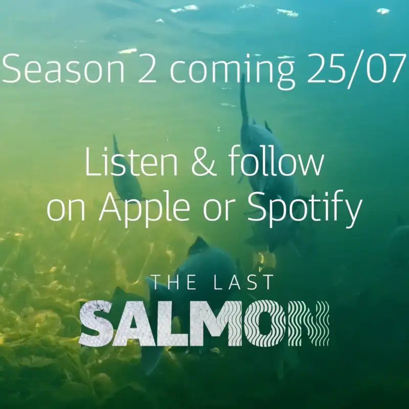 Season 2 Trailer