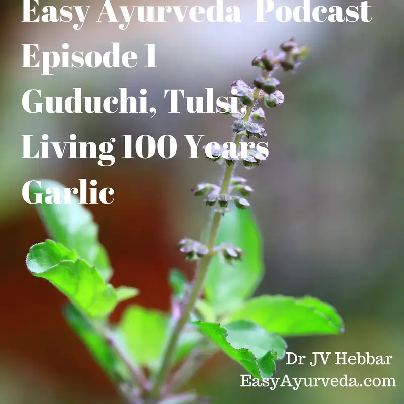 Gurubodha 1 : Guduchi - Liver Damage Controversy | Tulsi - Mercury | Living 100 Years | Garlic - Dr MB Gururaja, Dr JV Hebbar