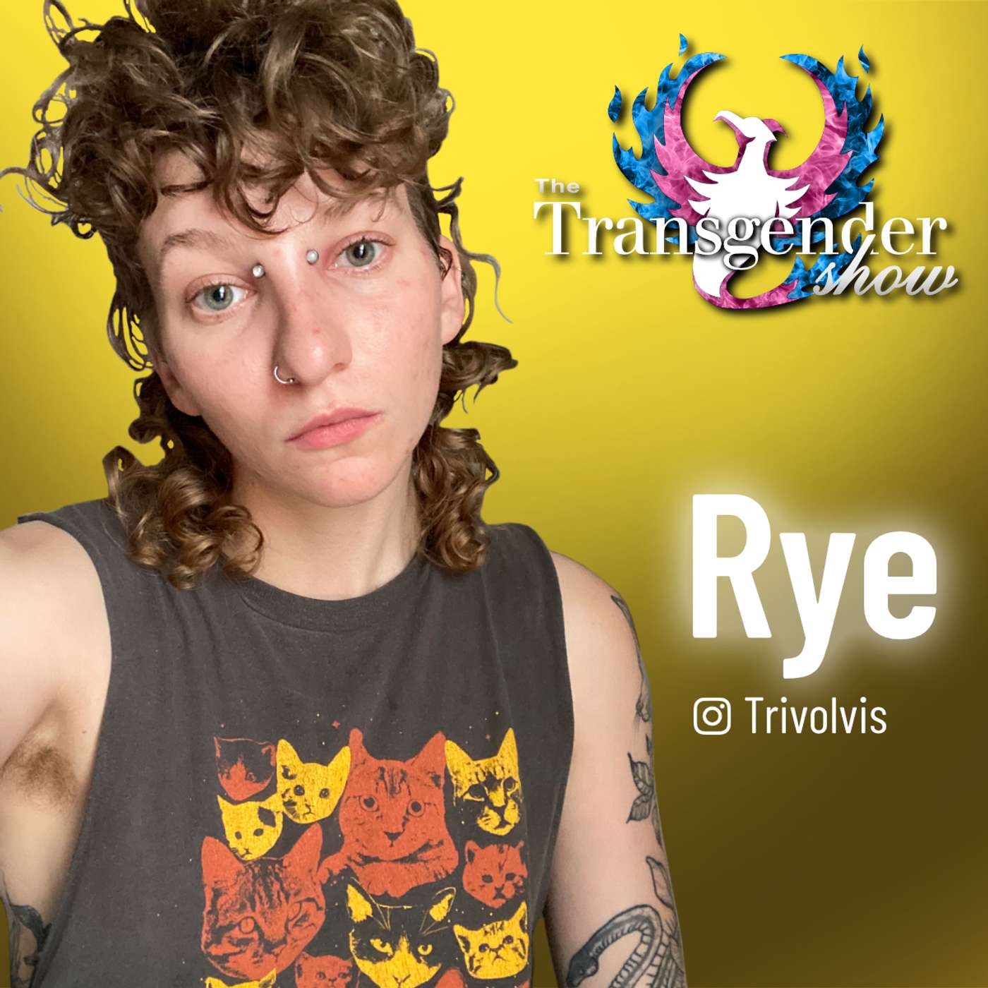 The Transgender Show