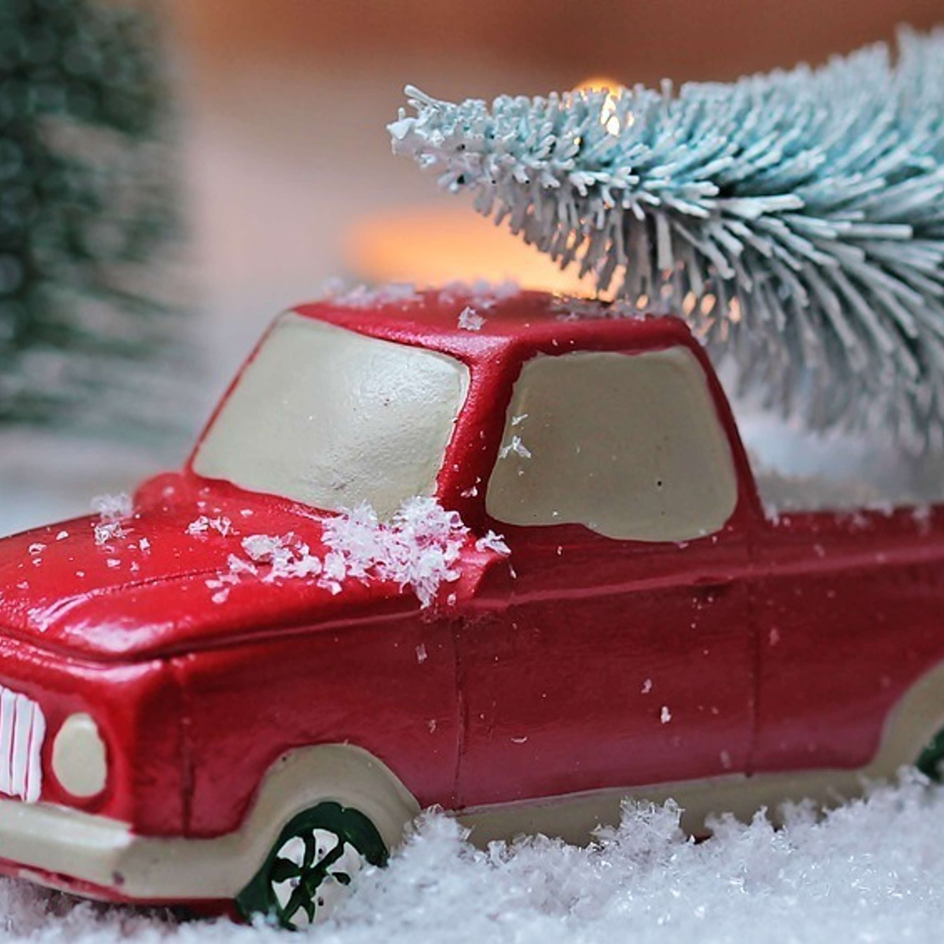 Bonus | Holiday Break and What Do You Wonder About?