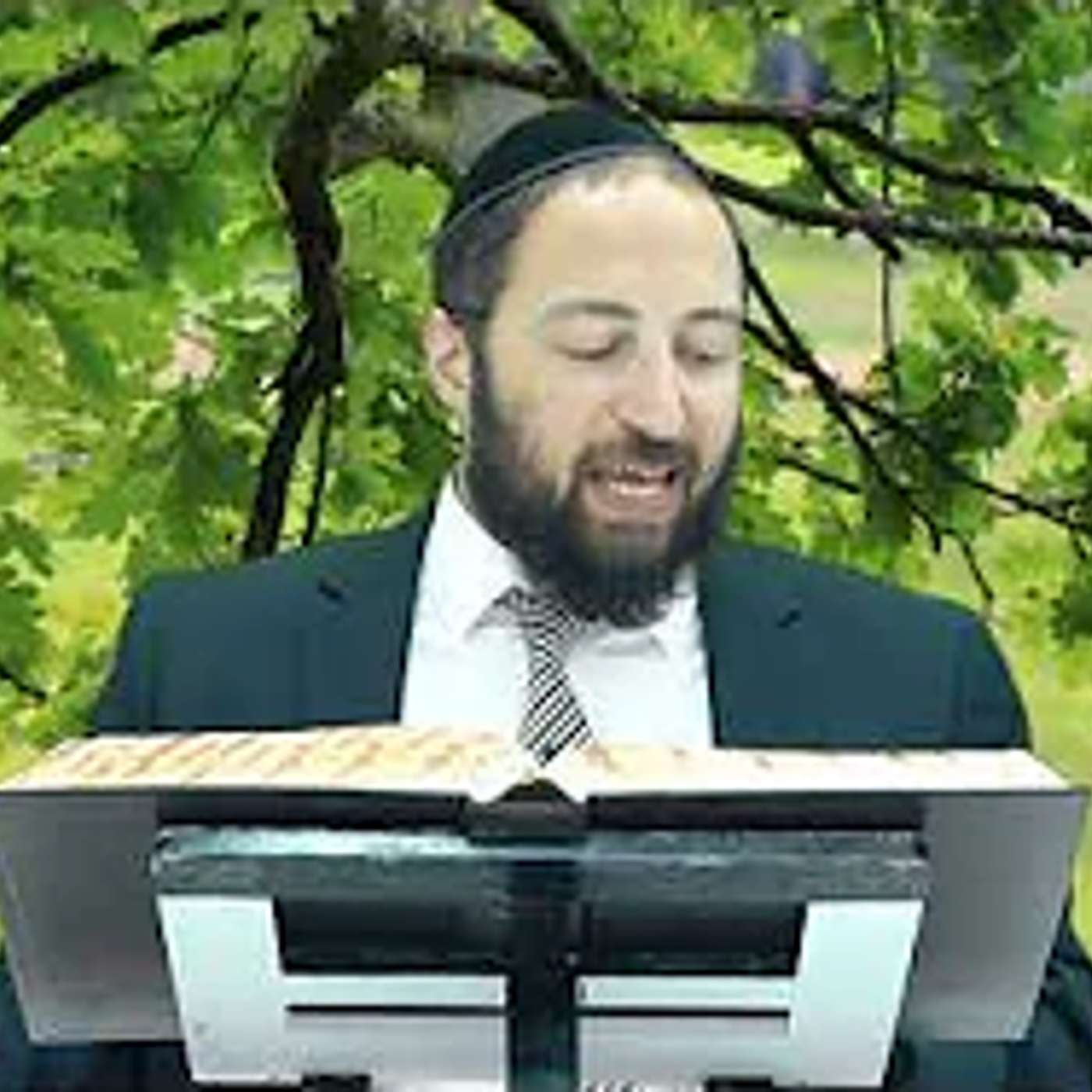הדף היומי | מסכת הוריות דף ח (מחזור ב') | הרב פנחס יוסף אקרב episode artwork