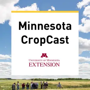 Minnesota CropCast