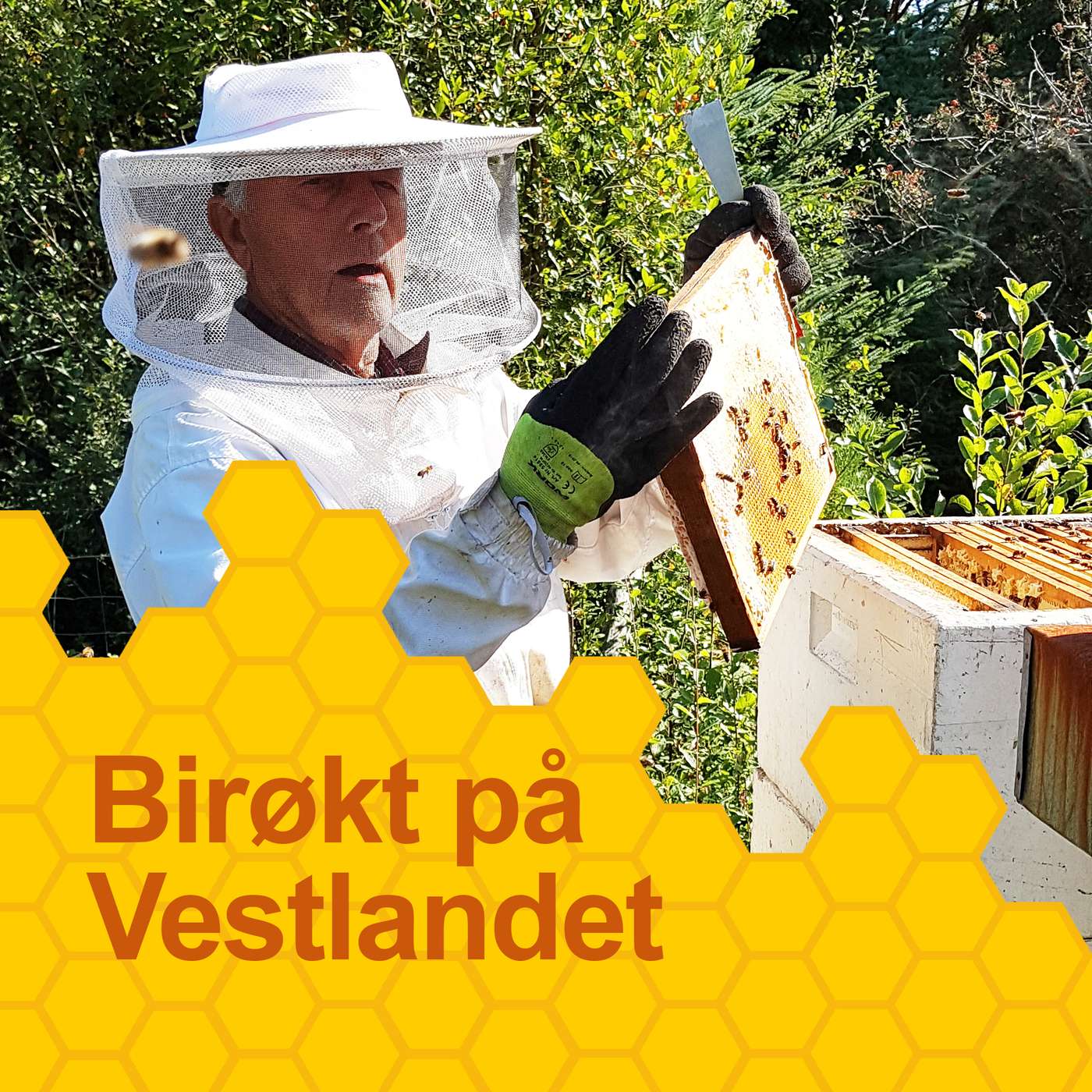 Birøkt på Vestlandet