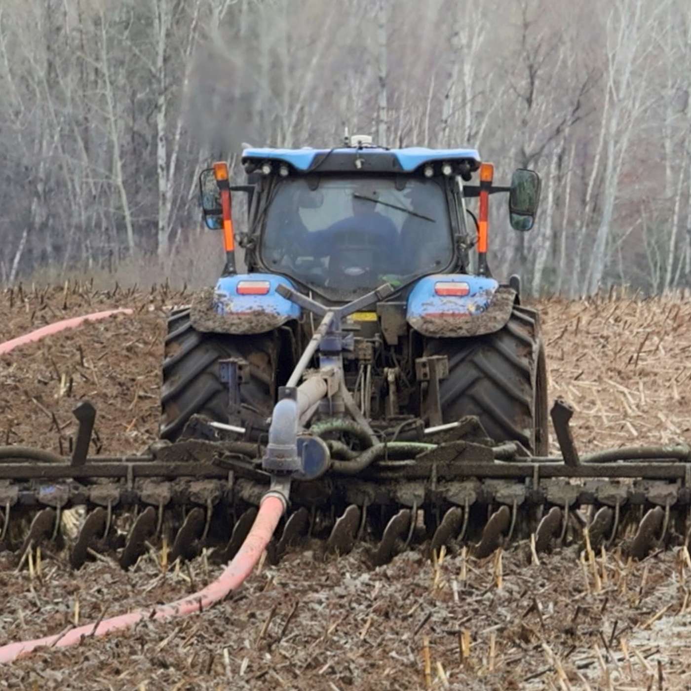 Manure application in 2024: Value for growers, long-term research, and what's on the horizon