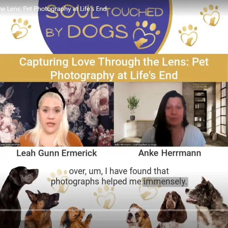 Leah Gunn Ermerick - Capturing Love Through the Lens: Pet Photography at Life's End