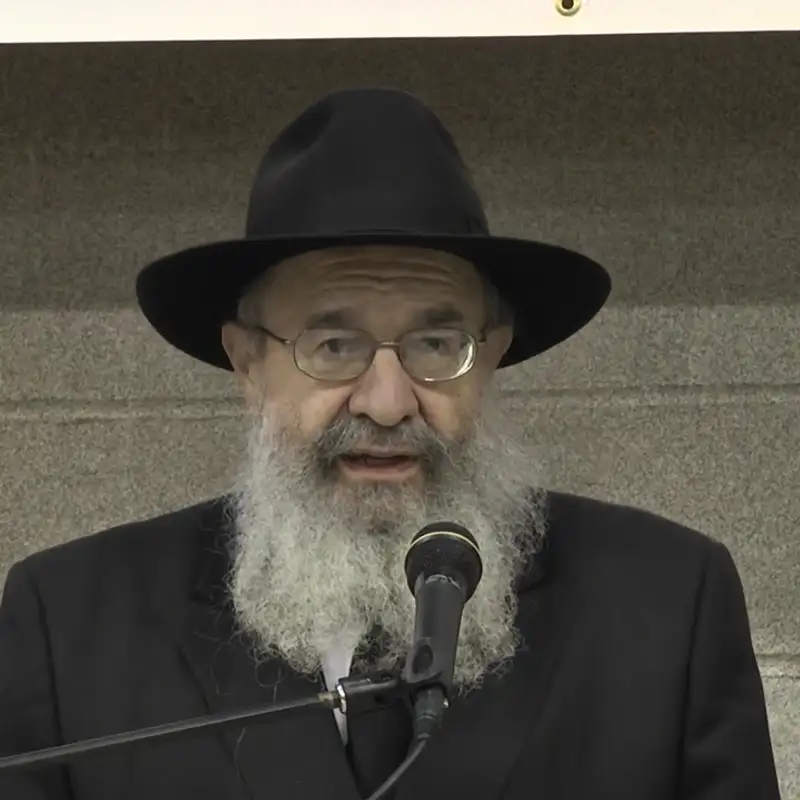 Rabbi Yehuda L. Schapiro