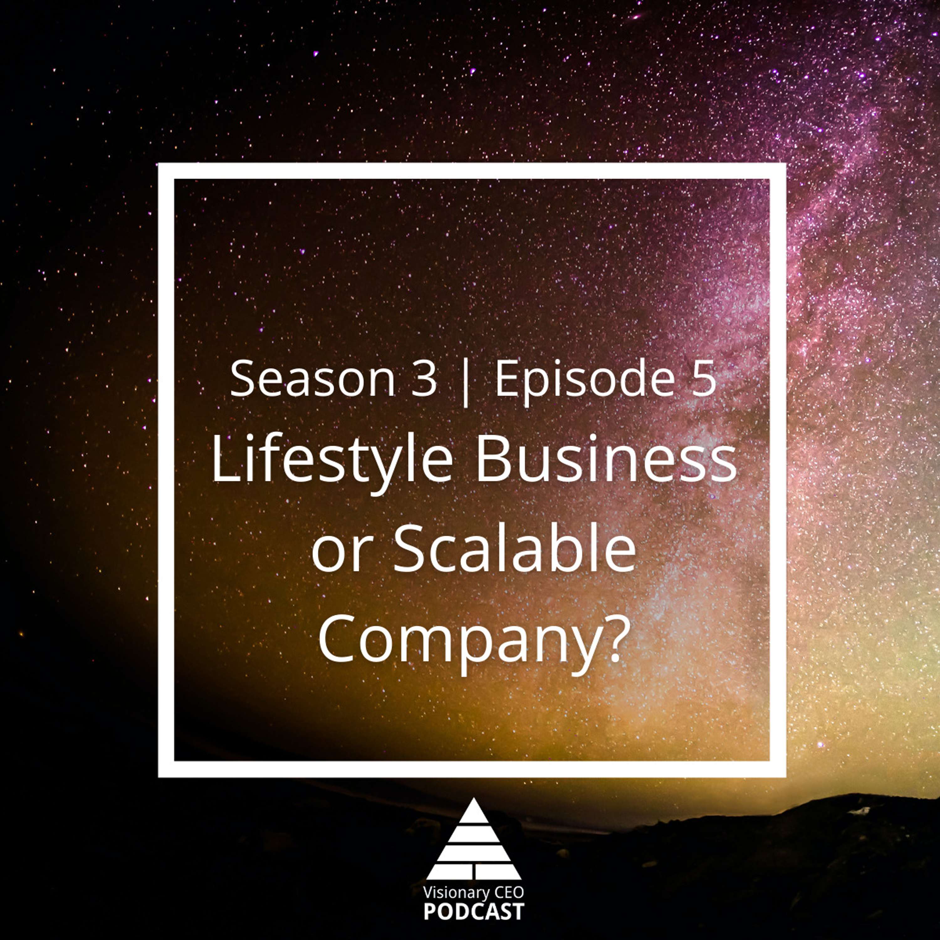 Visionary CEO Podcast