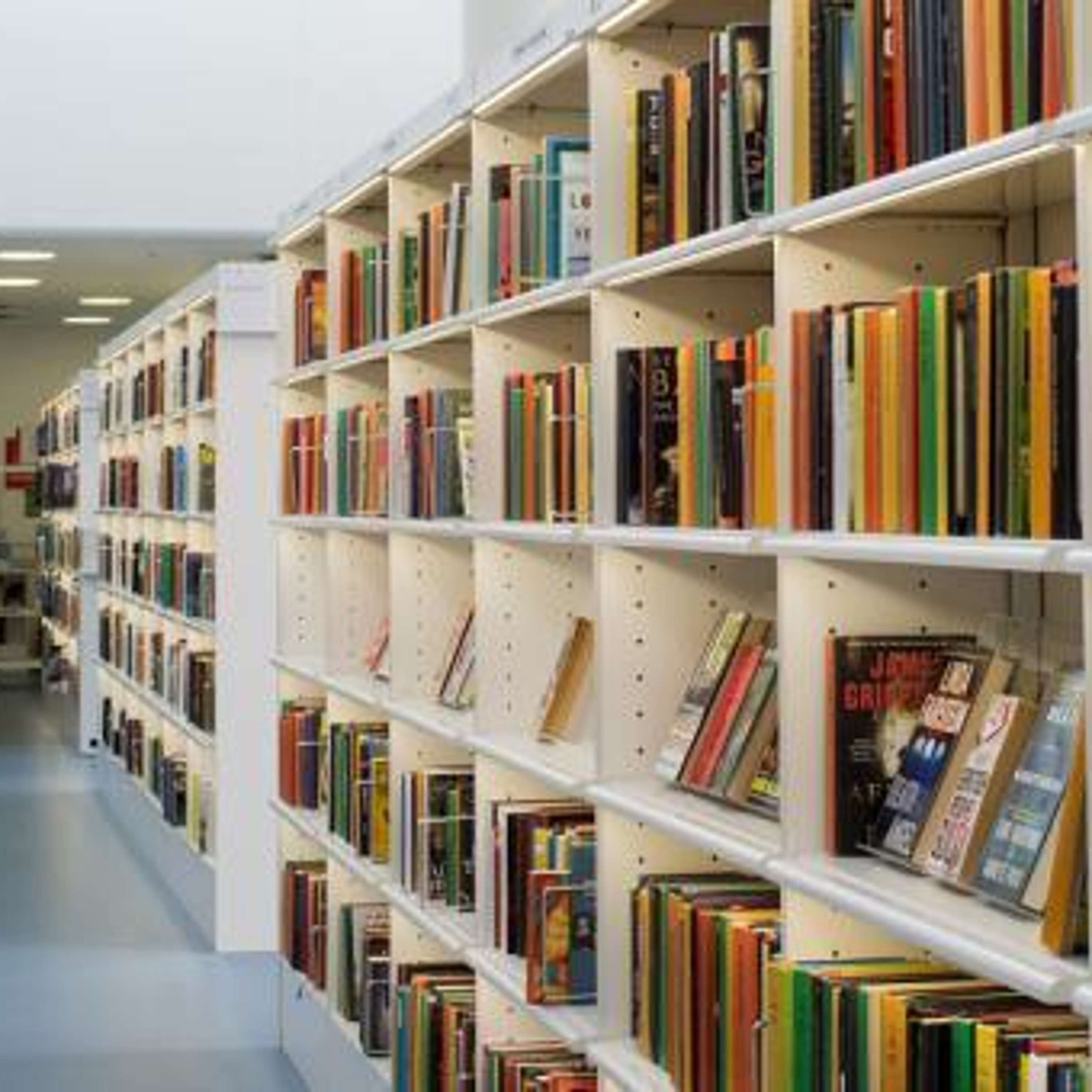 Biblioteksledernetværket af Stig Grøntved Starck