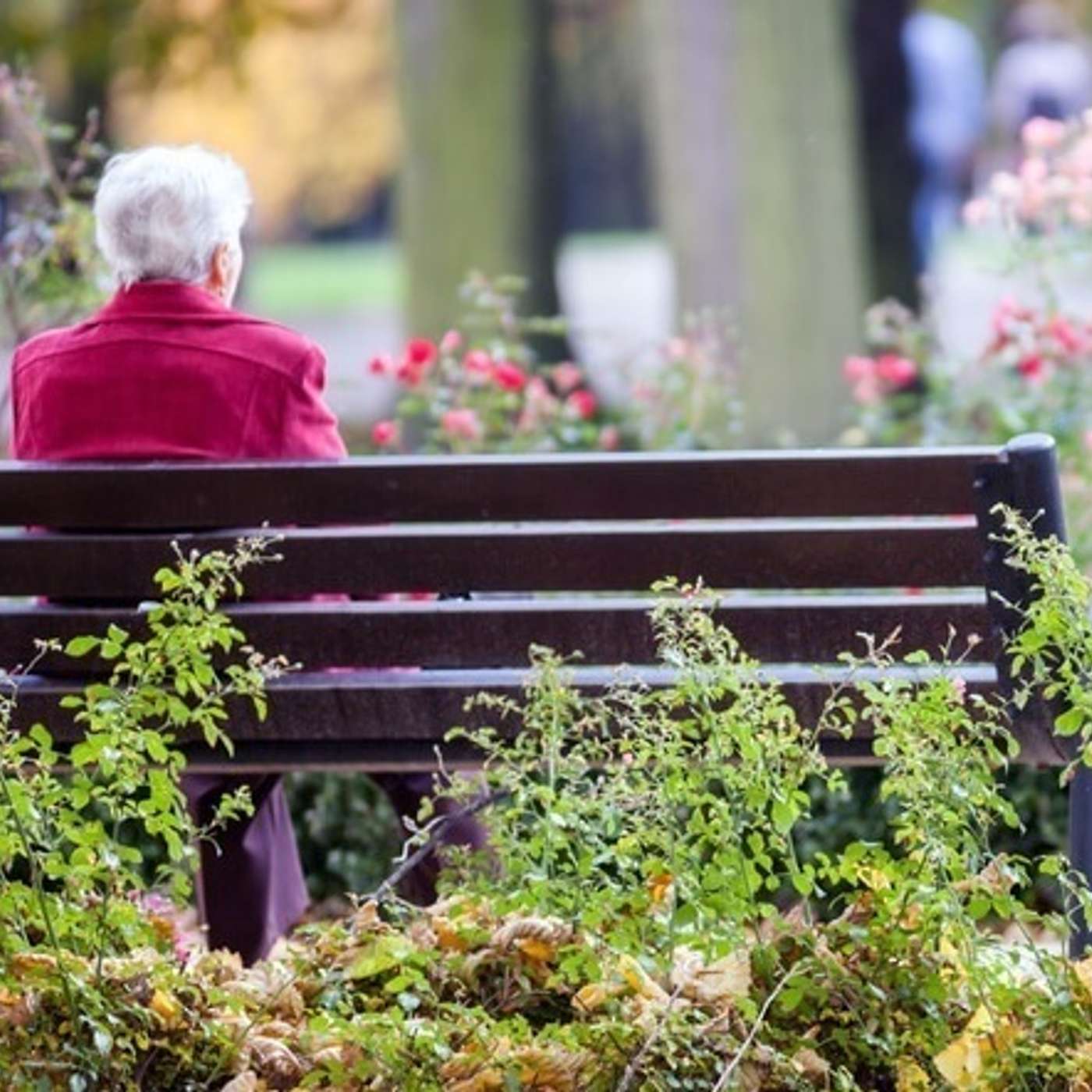 Loneliness and its impact on the mental health of the older person episode artwork