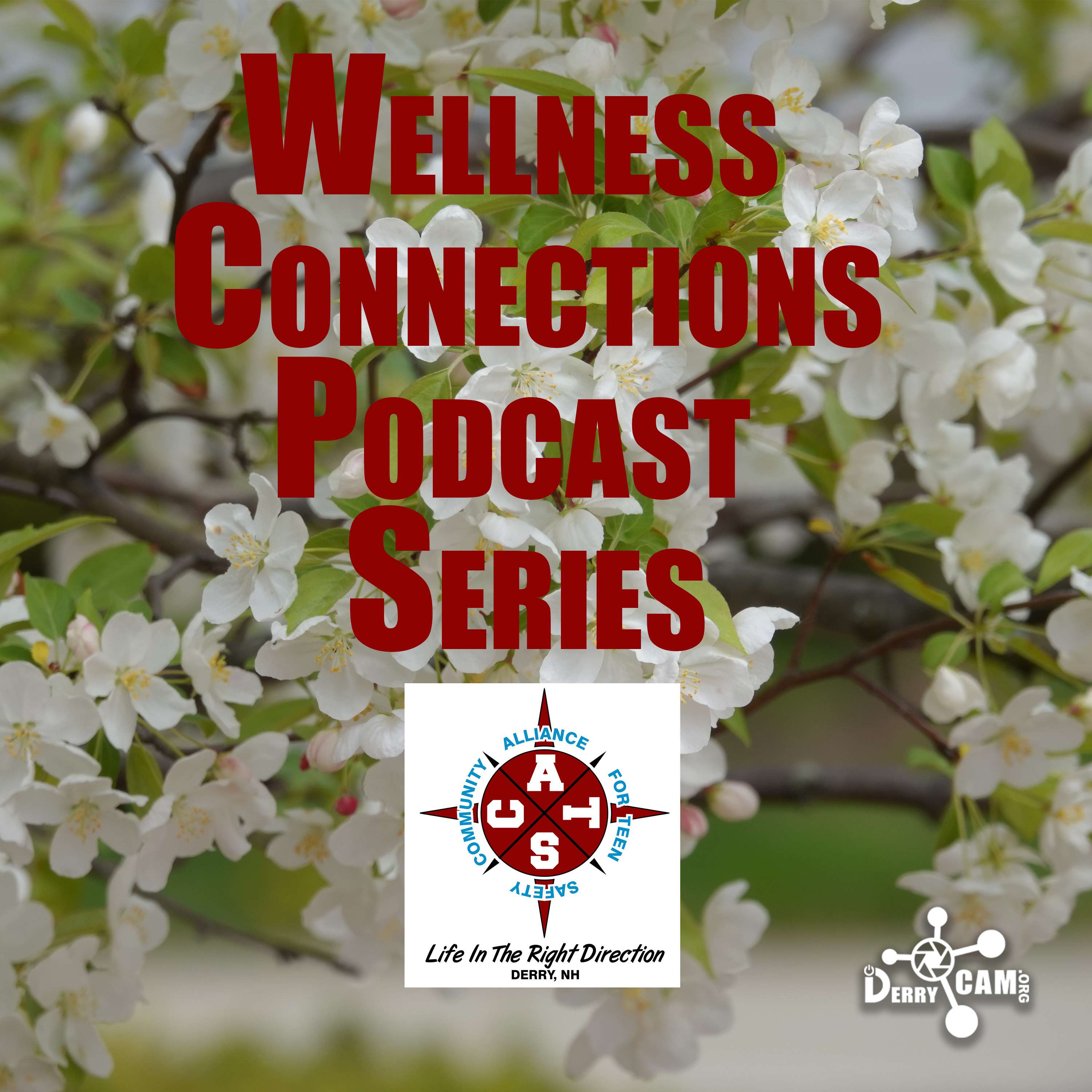 Wellness Connections