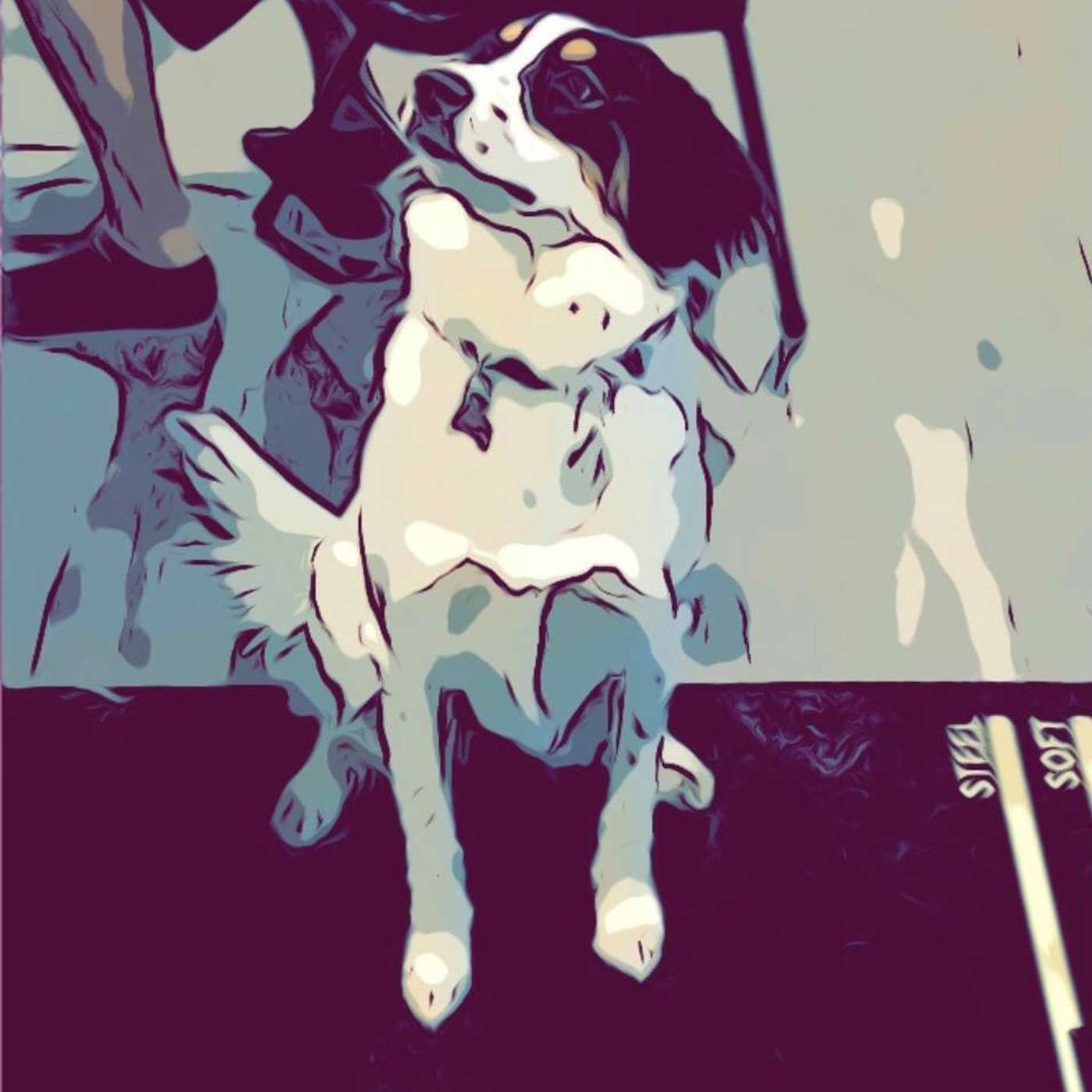 Music Seeds: The Music That Made Us