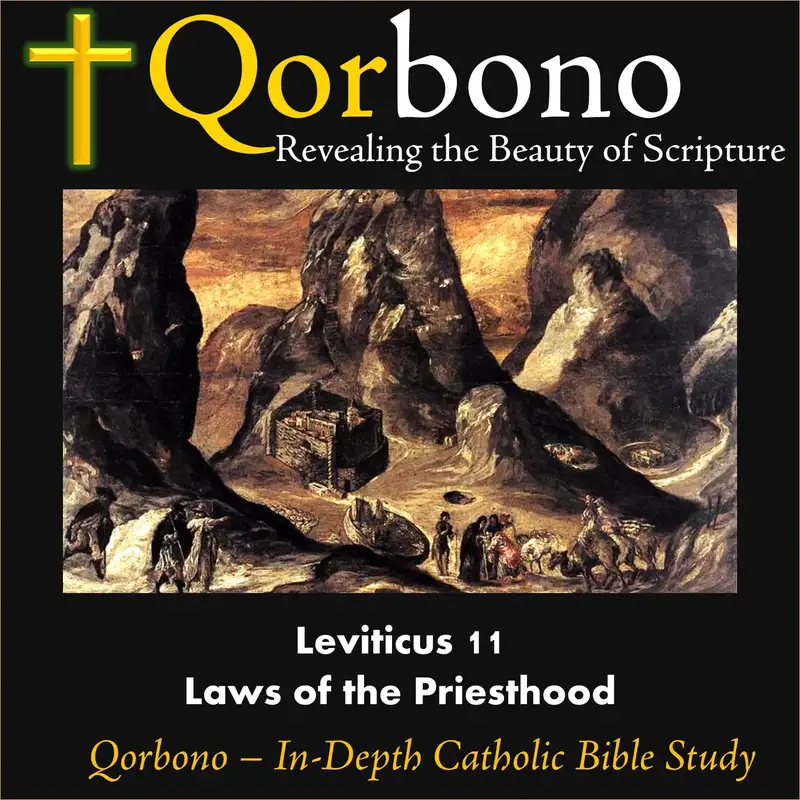 Leviticus 11