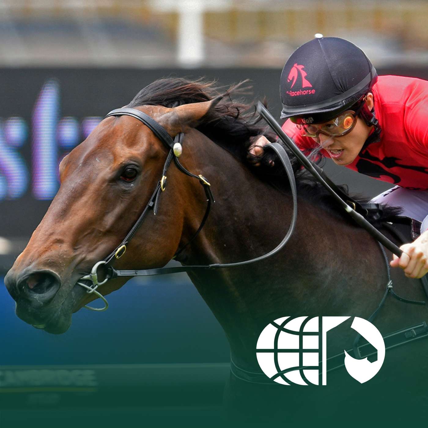 Shaun Clotworthy and New Zealand Derby contender Willydoit