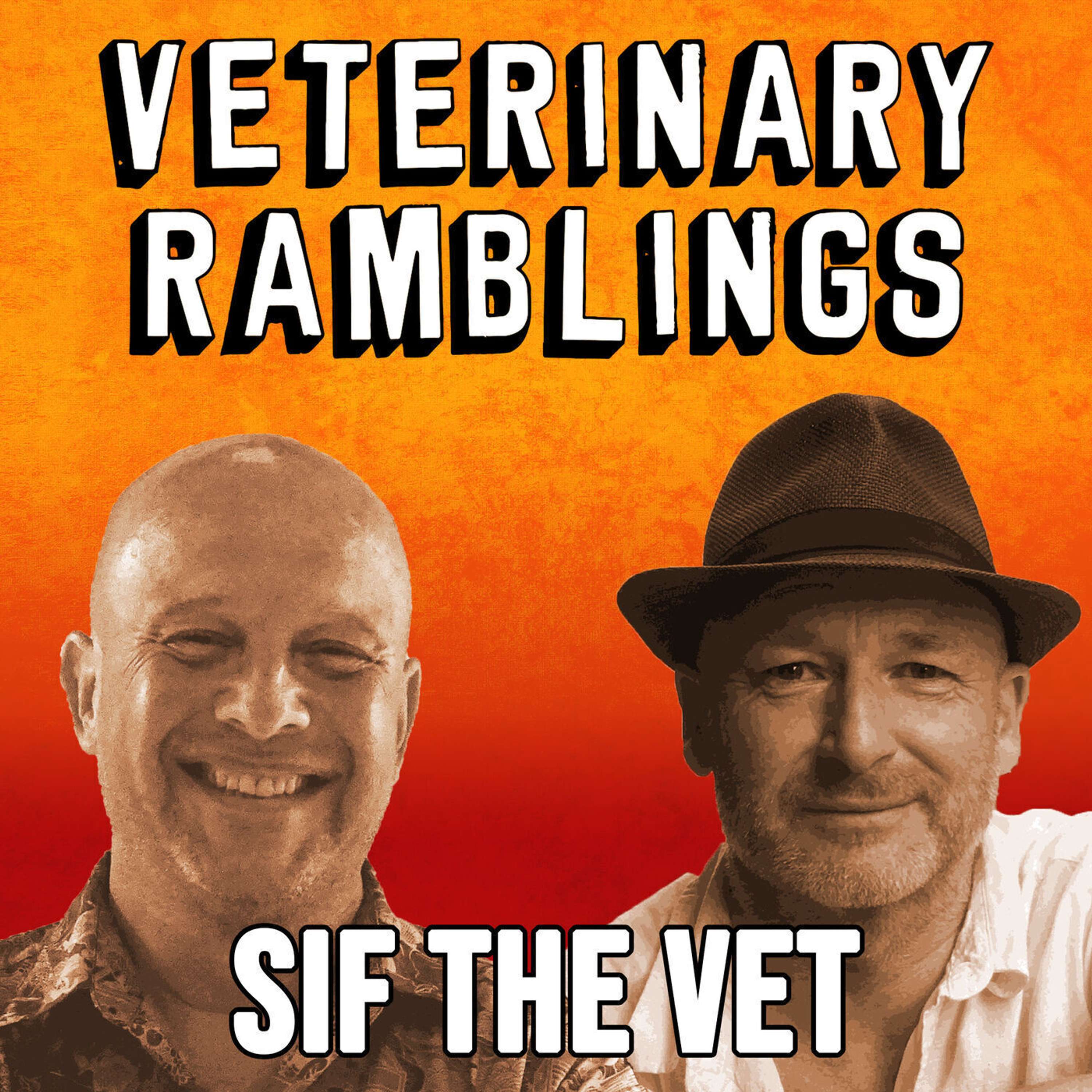 Veterinary Ramblings
