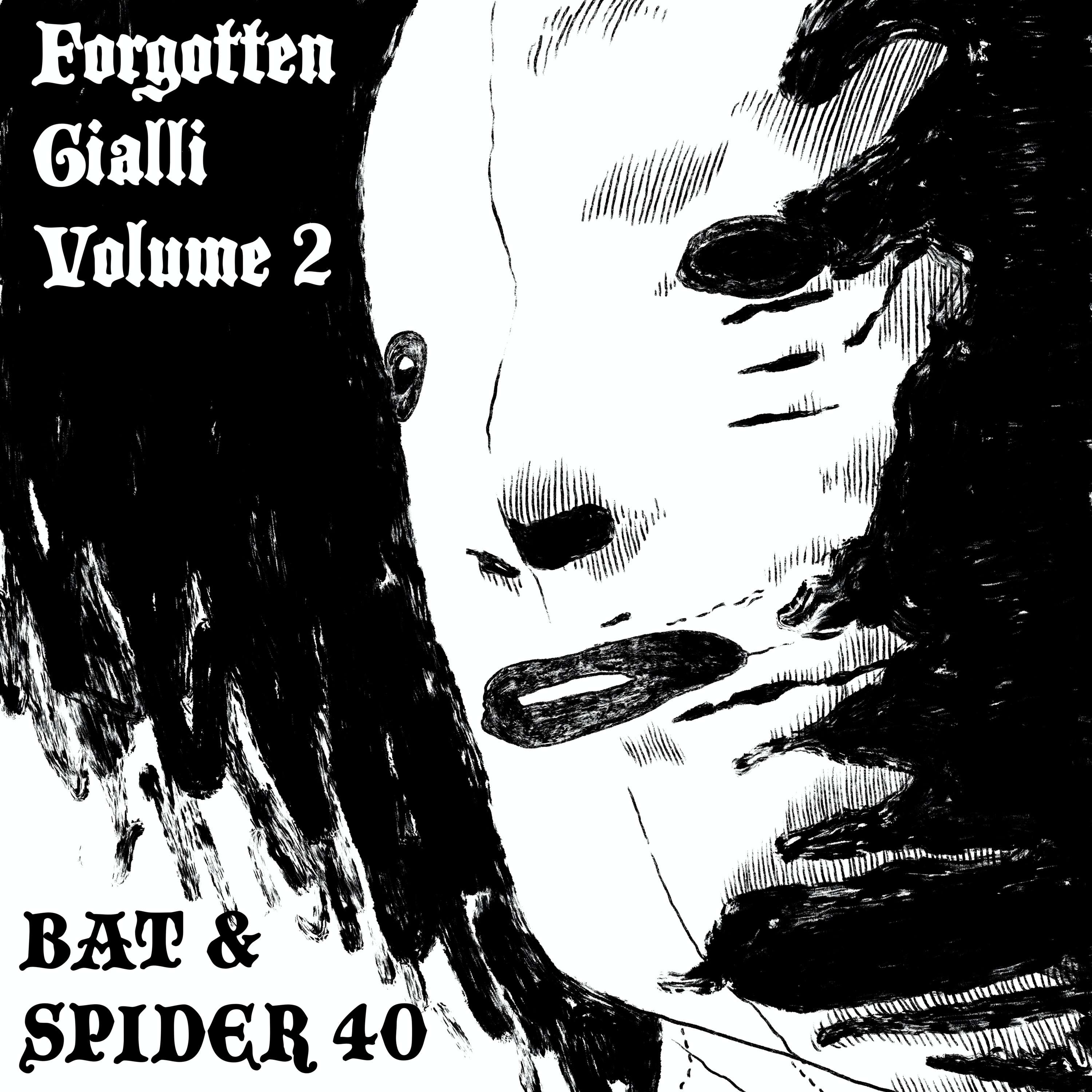 BAT AND SPIDER