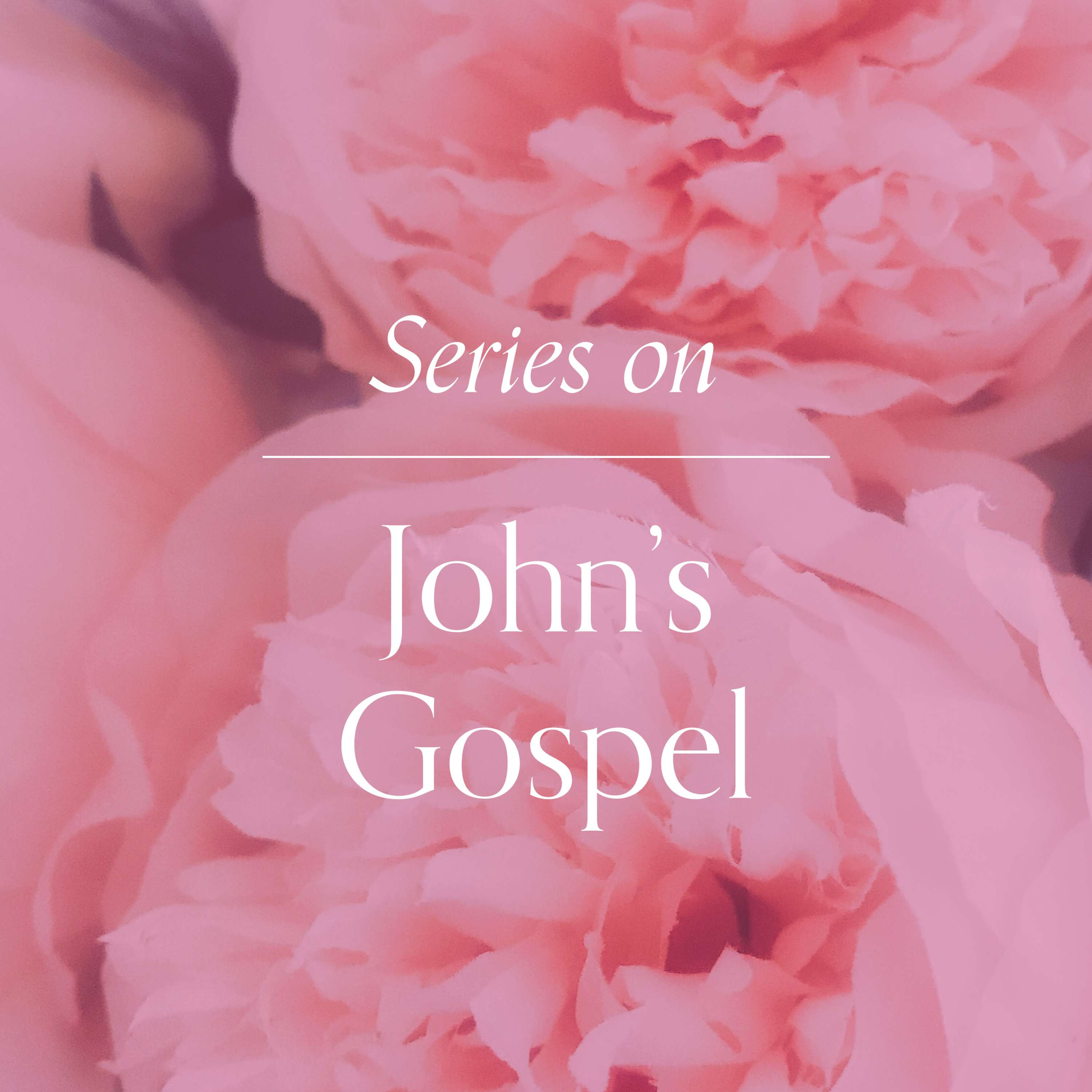 John\'s Gospel