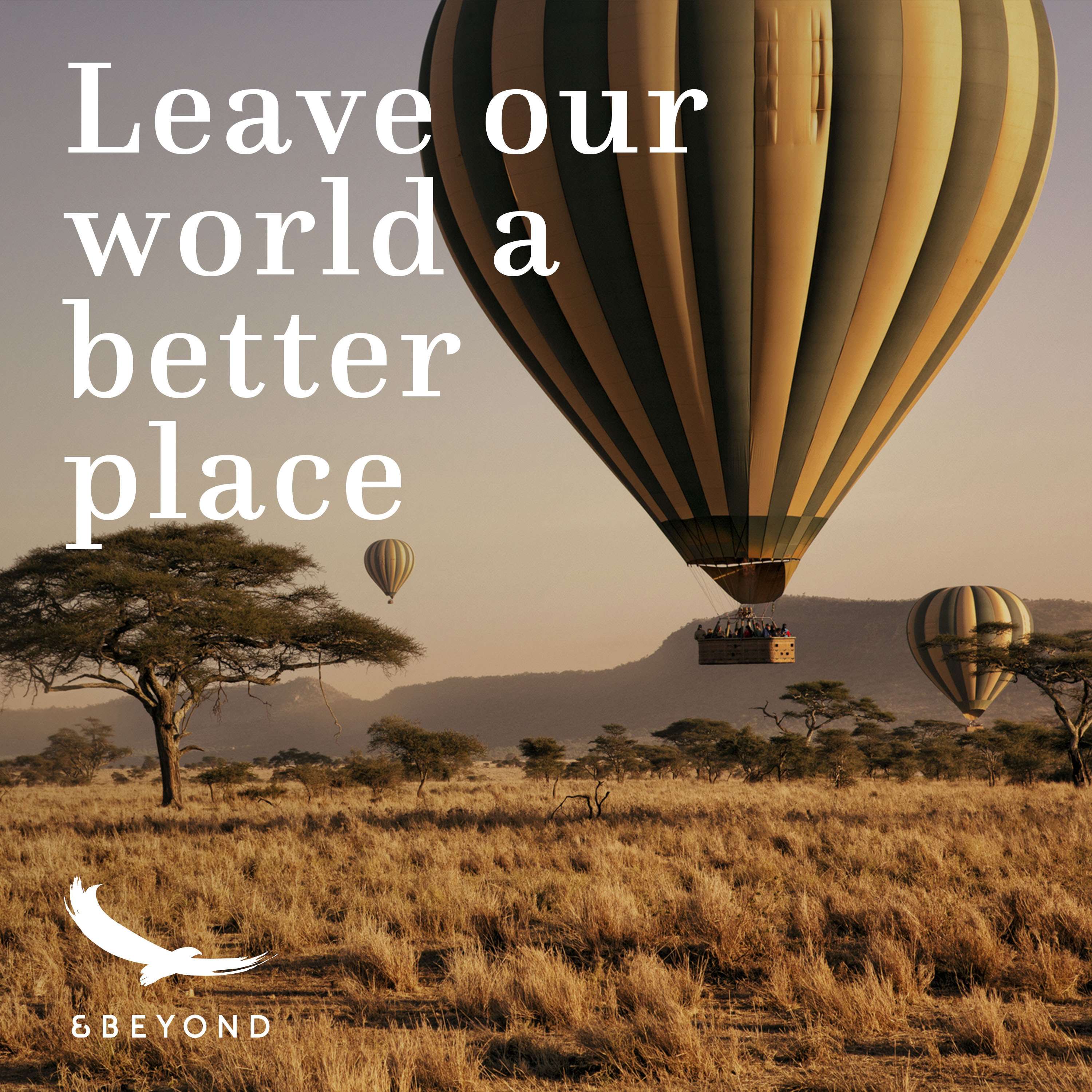 Better World
