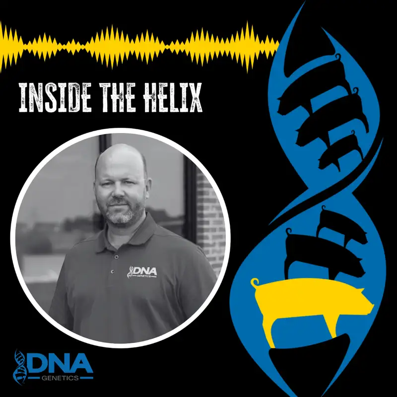 A Peek Behind the Curtain: Improving Sow Longevity