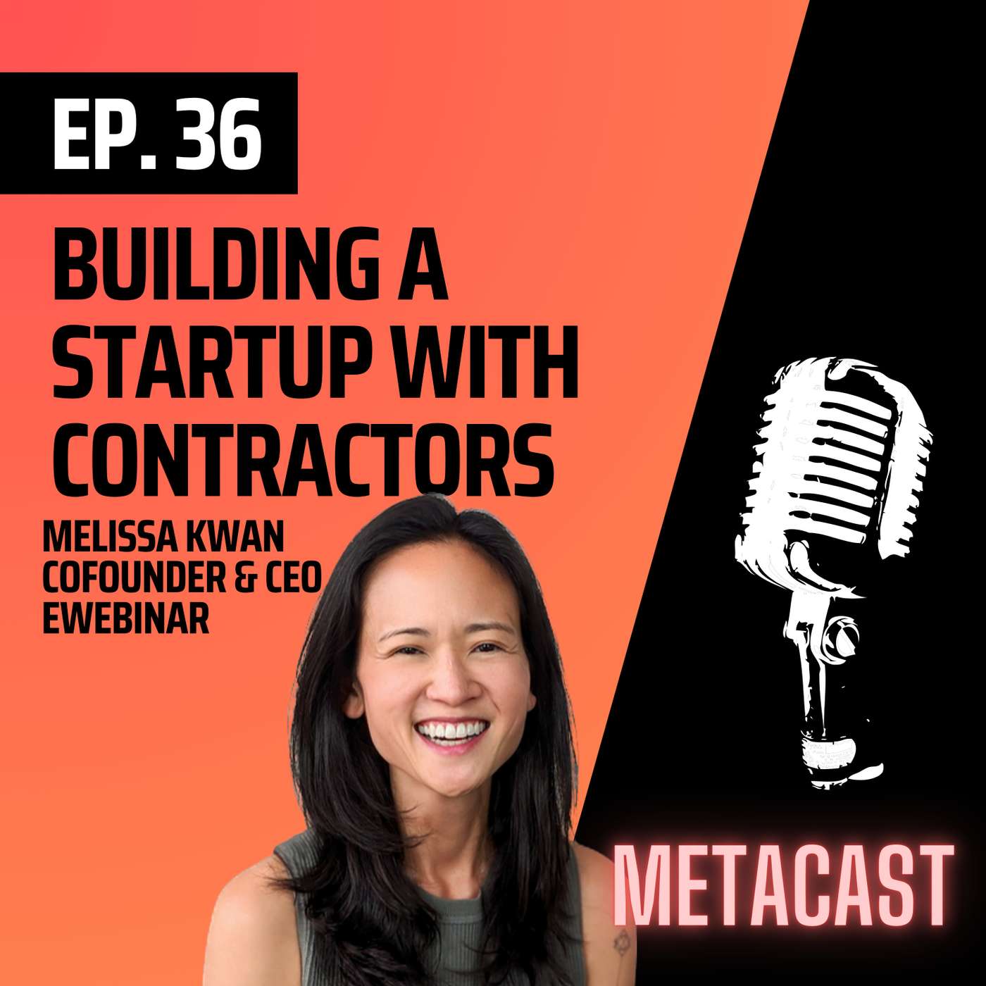 Metacast: Behind the scenes