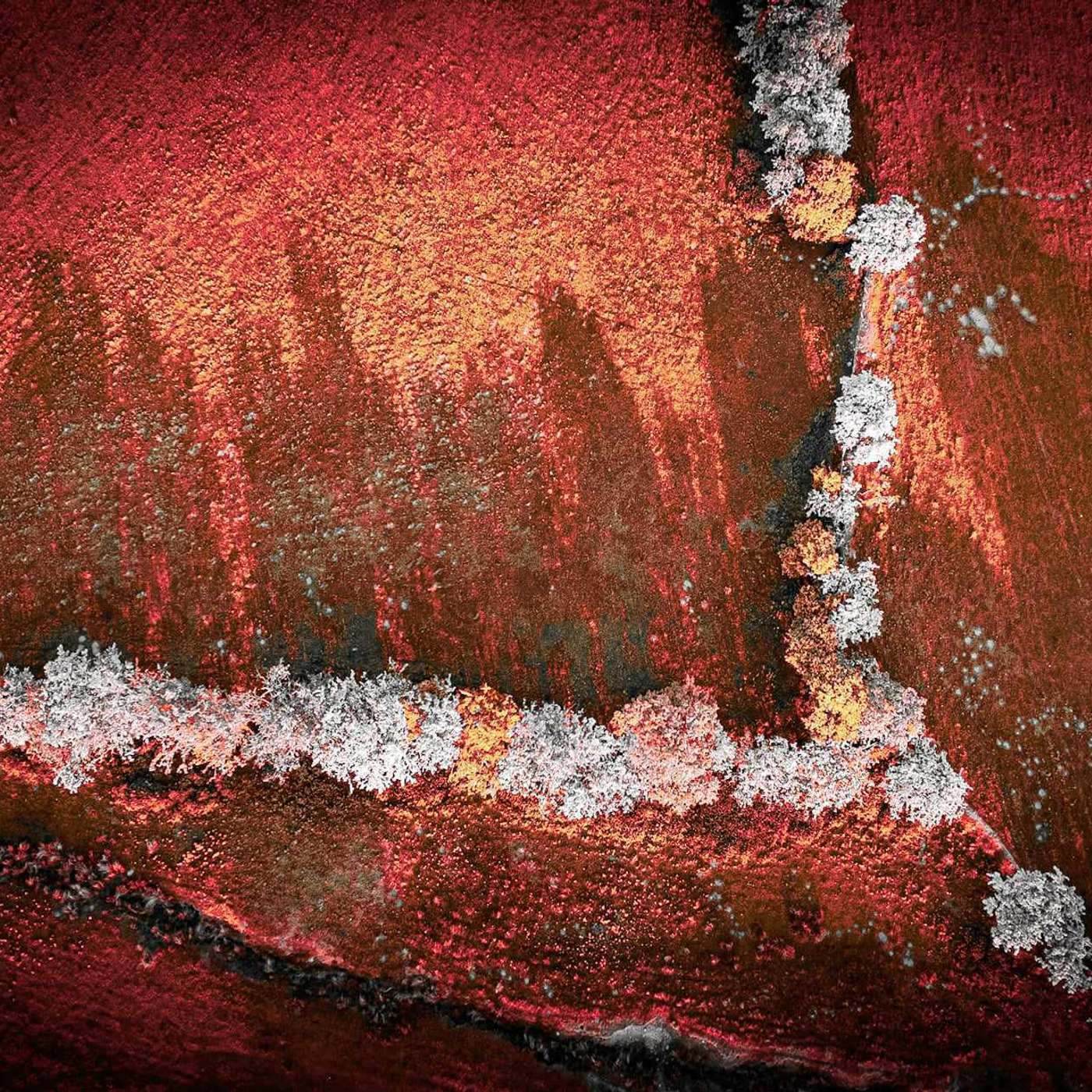 The Ten Thousand Things