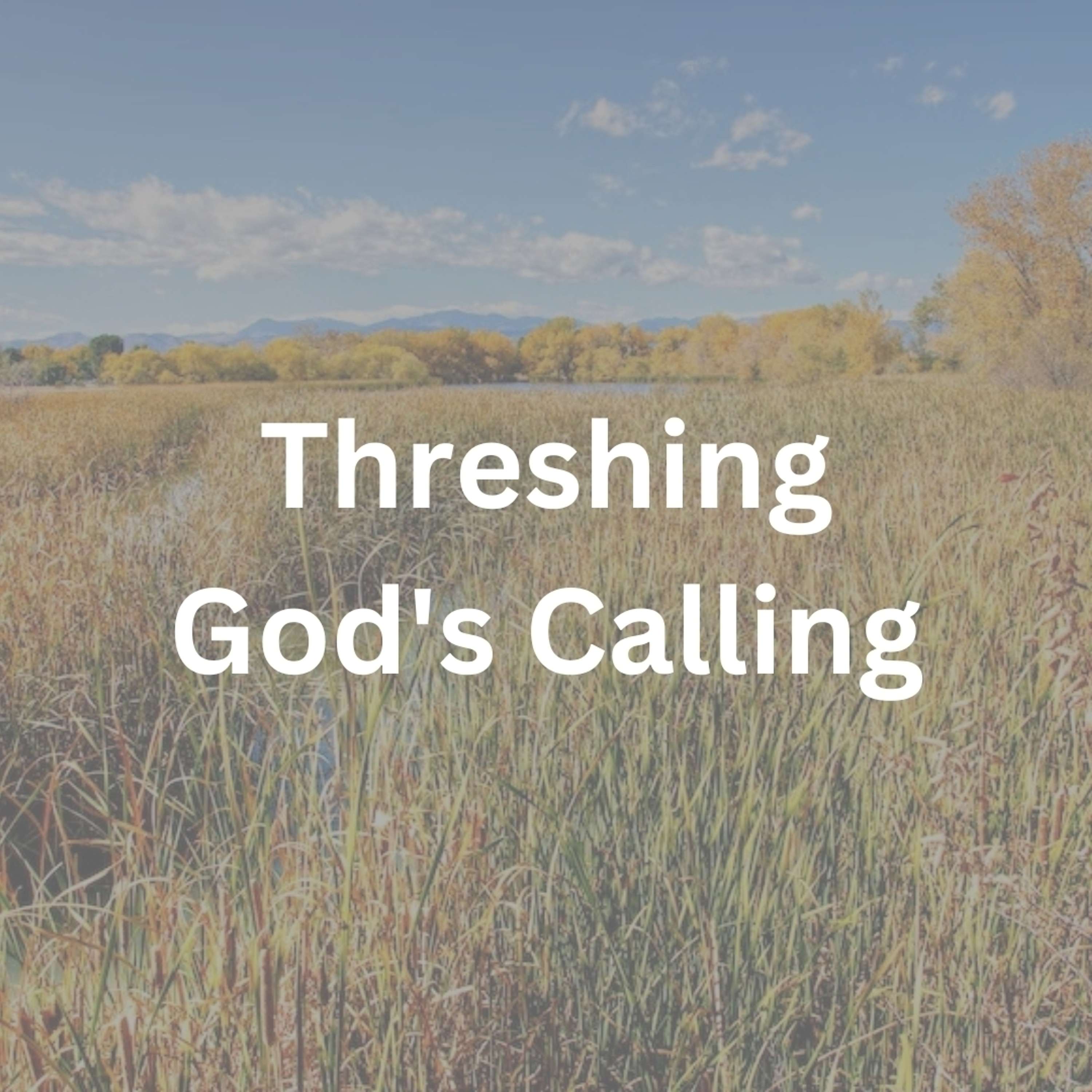 Bellevue Young Adults