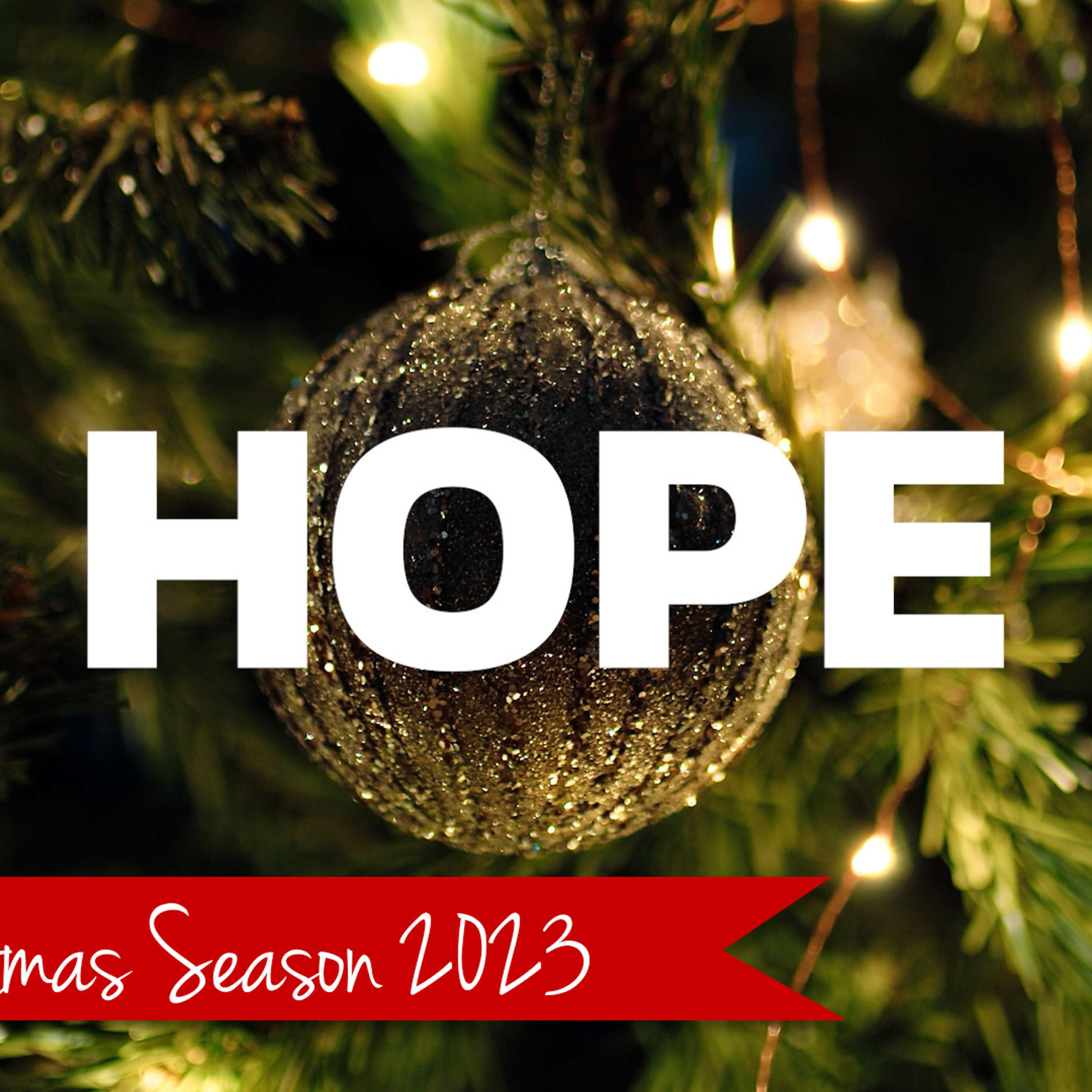 Joy of Every Longing Heart - Hope