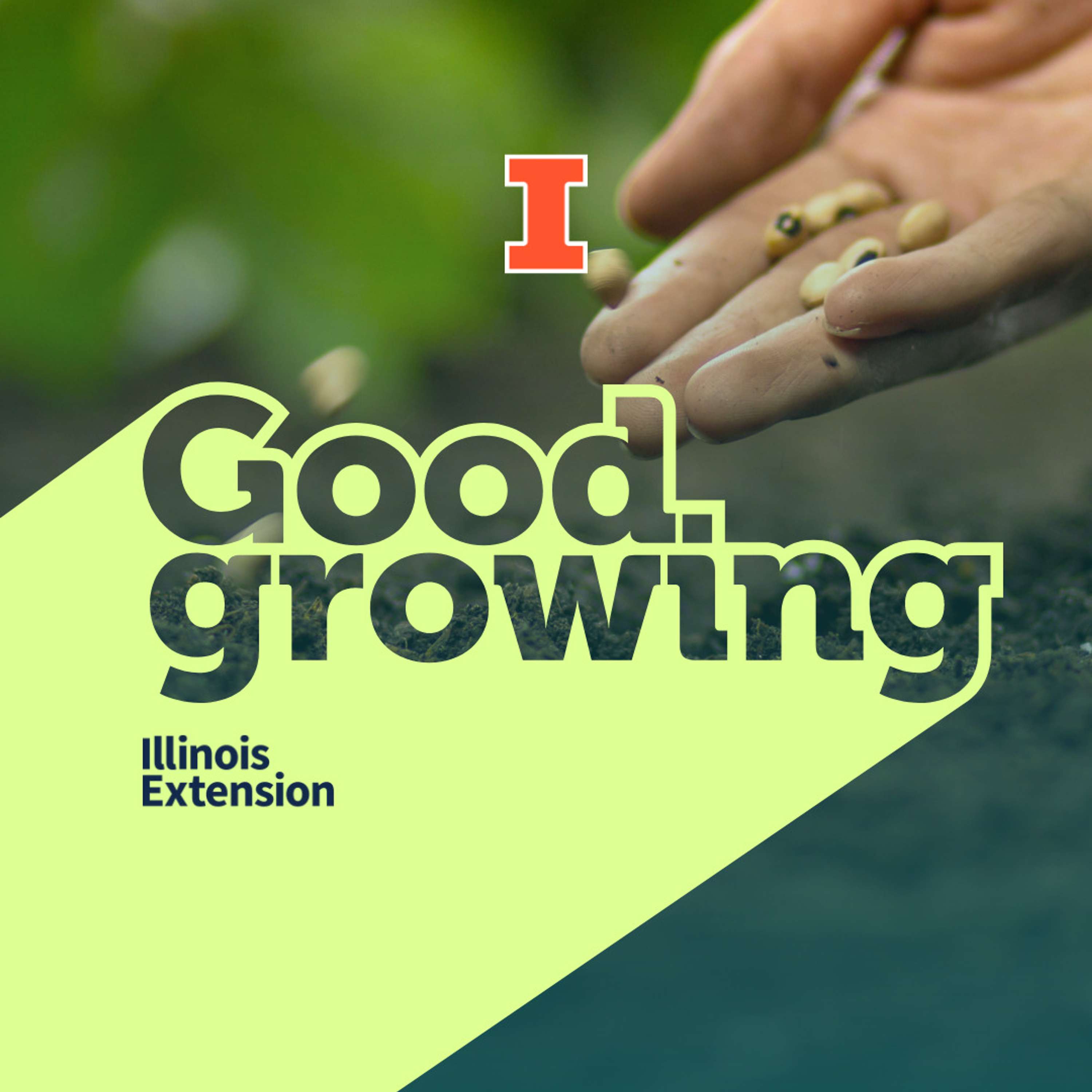 Ep. 166 Grow something new with us: Good Growing Grow Along | #GoodGrowing