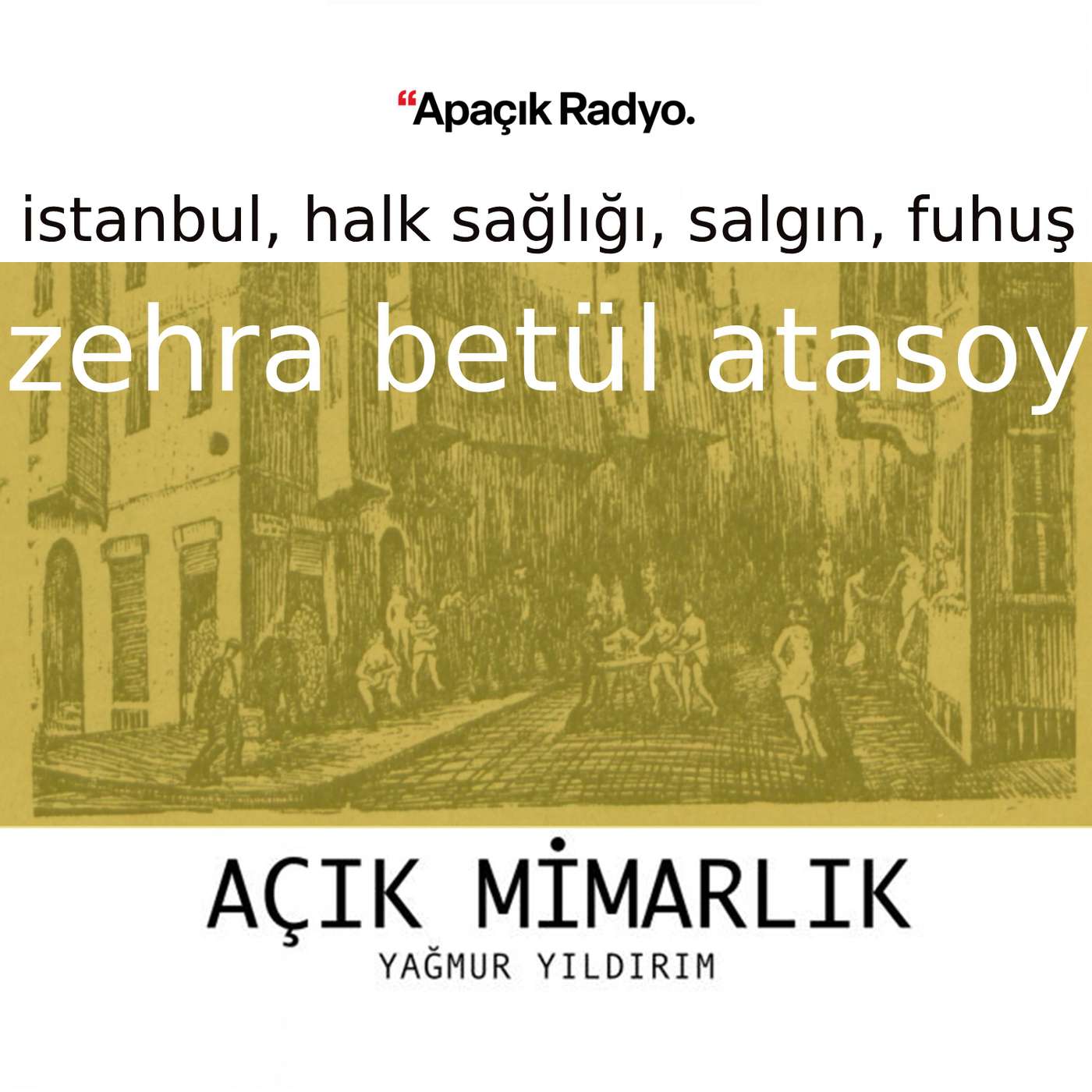İstanbul'da halk sağlığı, salgınlar, fuhuş