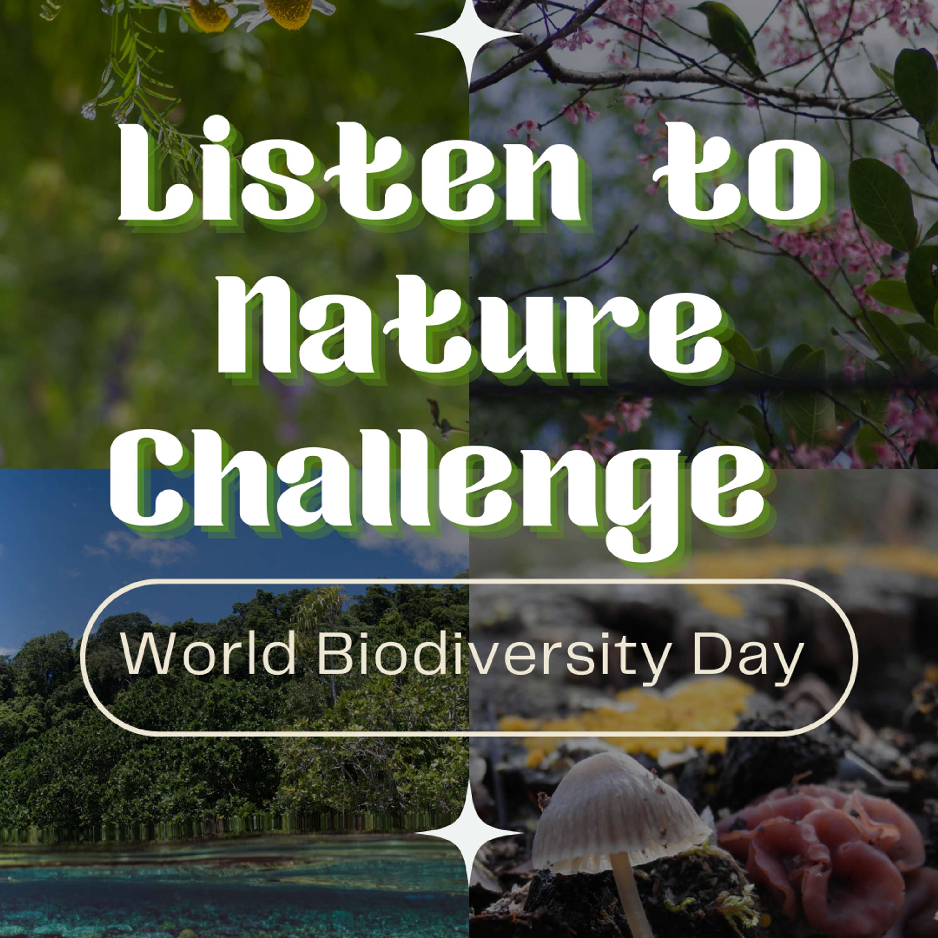 It’s World Biodiversity Day! Join us to celebrate with the #ListenToNature Challenge